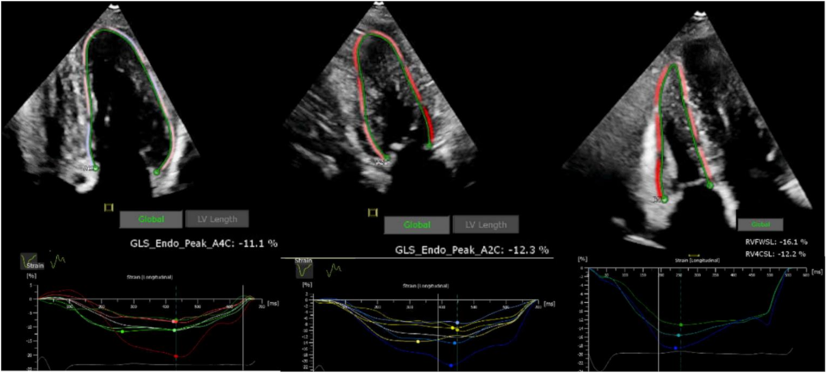 Applsci 12 01605 g005