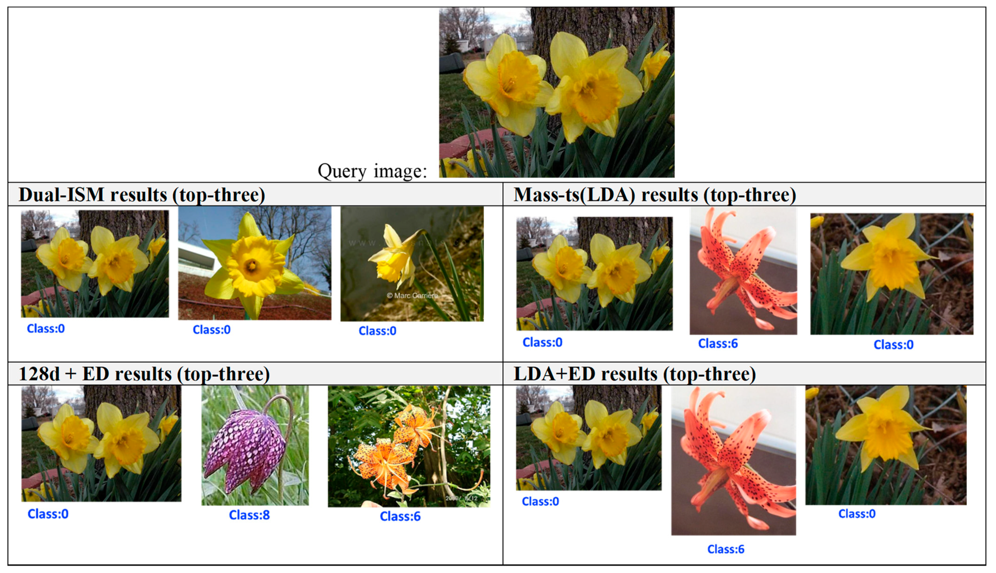 Applsci 12 01609 g007