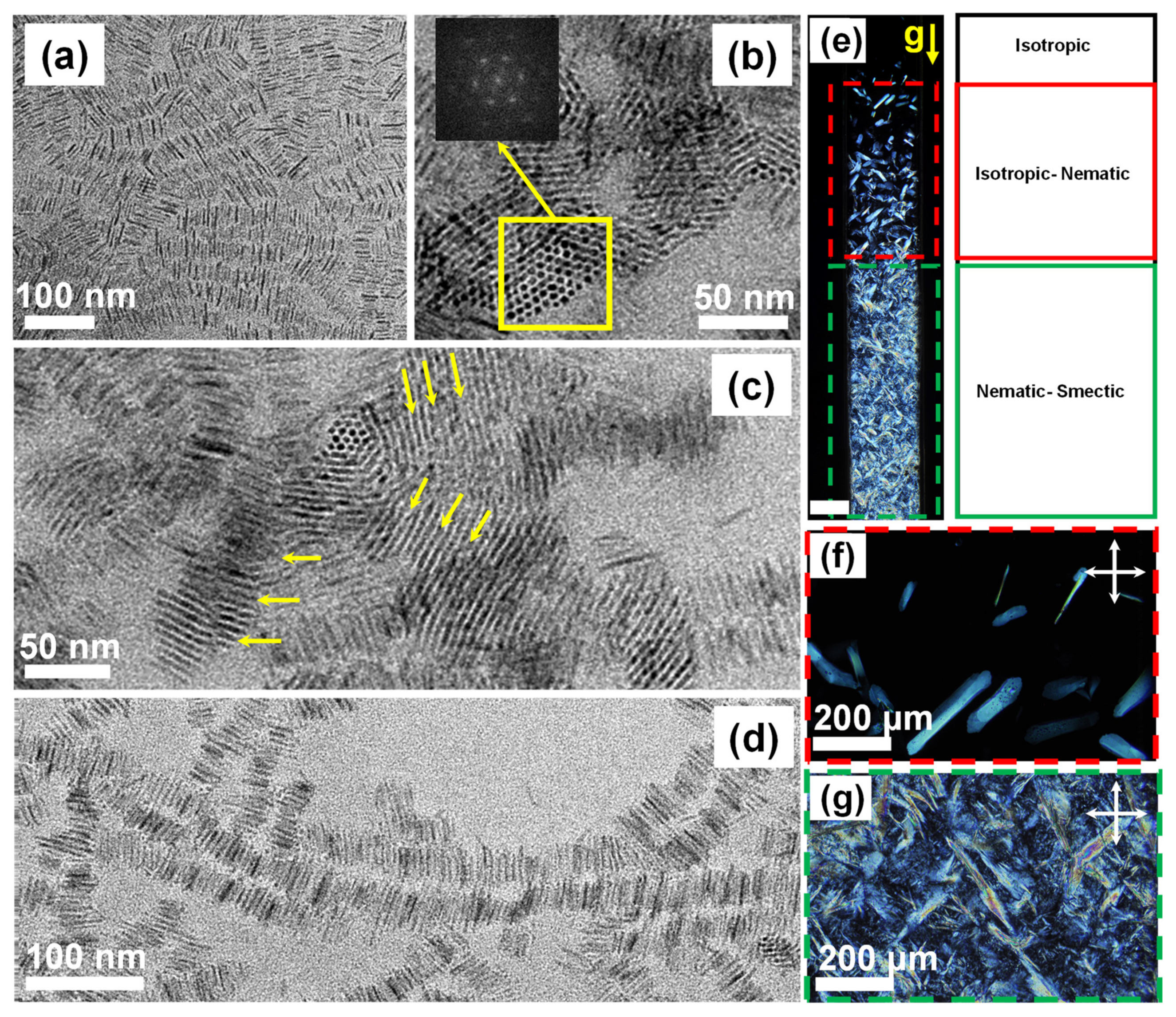 Applsci 12 01614 g005 Applsci 12 01614 g005
