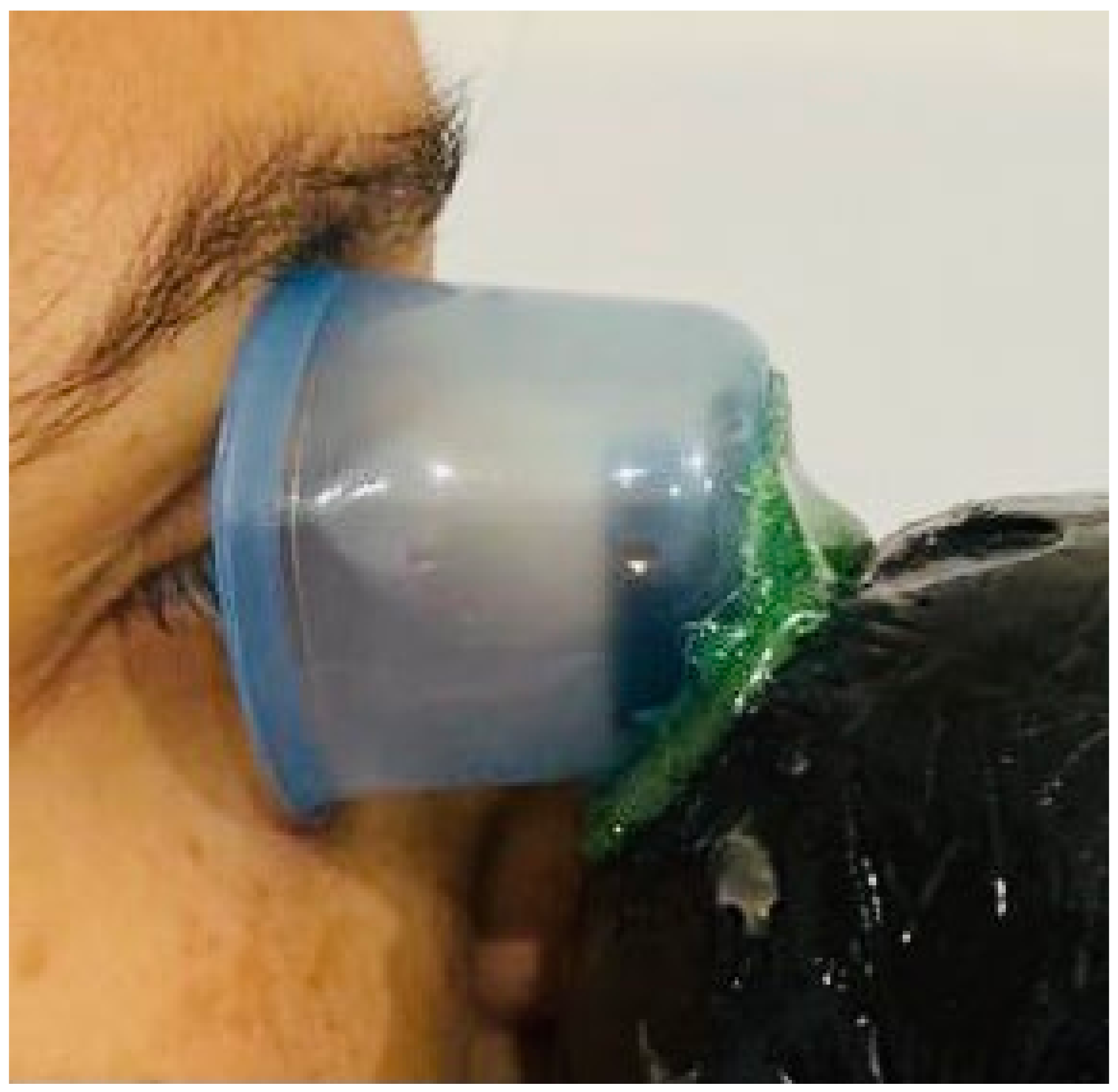 Applsci 12 01647 g002 Applsci 12 01647 g002