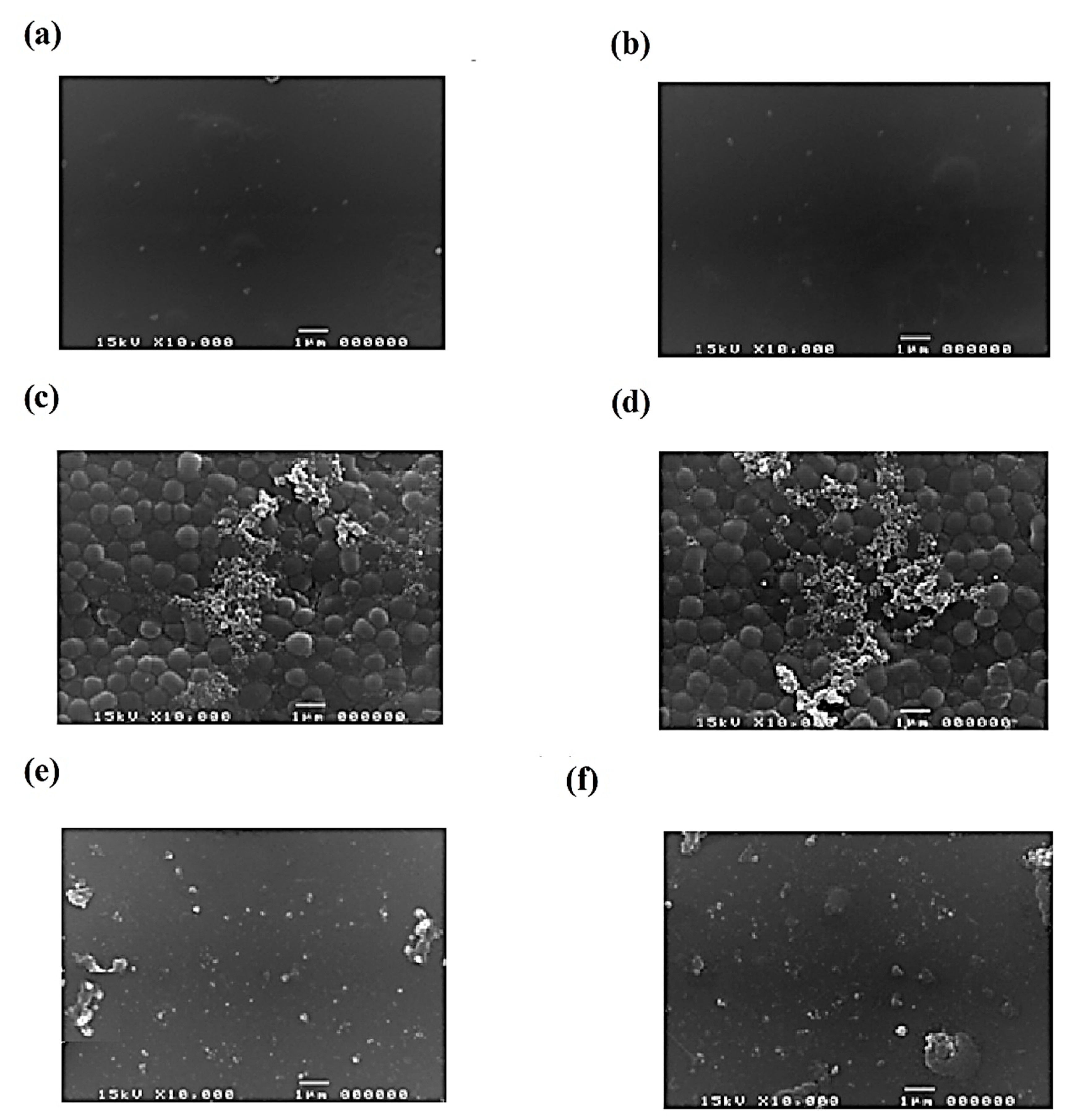 Applsci 12 01650 g002 Applsci 12 01650 g002
