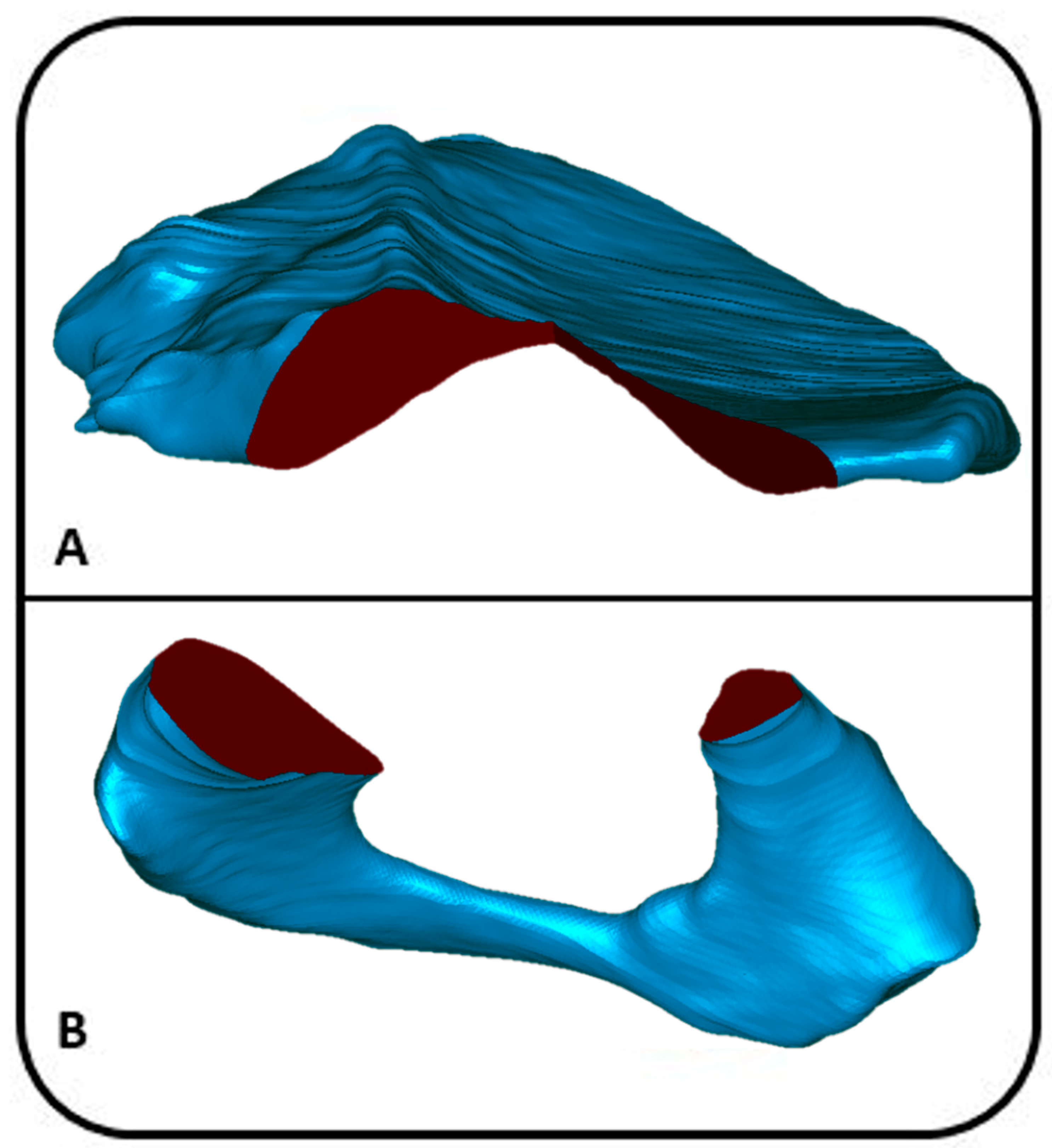 Applsci 12 01654 g007 550