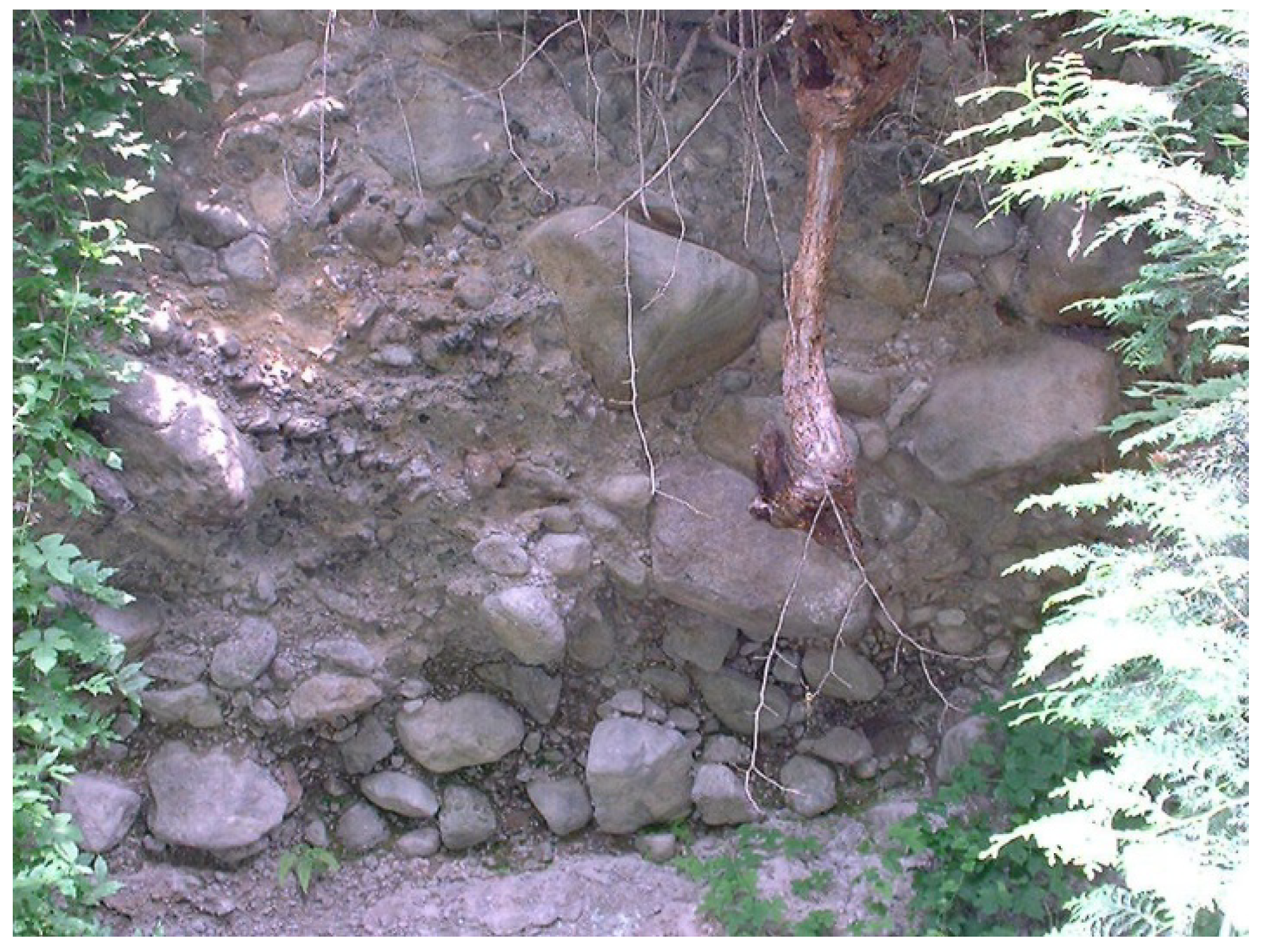 Applsci 12 01667 g004 550