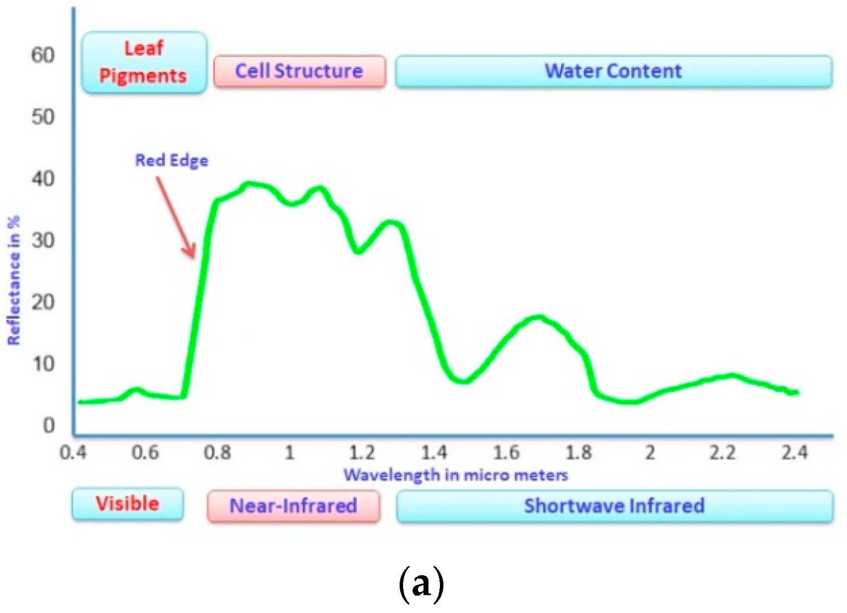 Applsci 12 01670 g001a 550