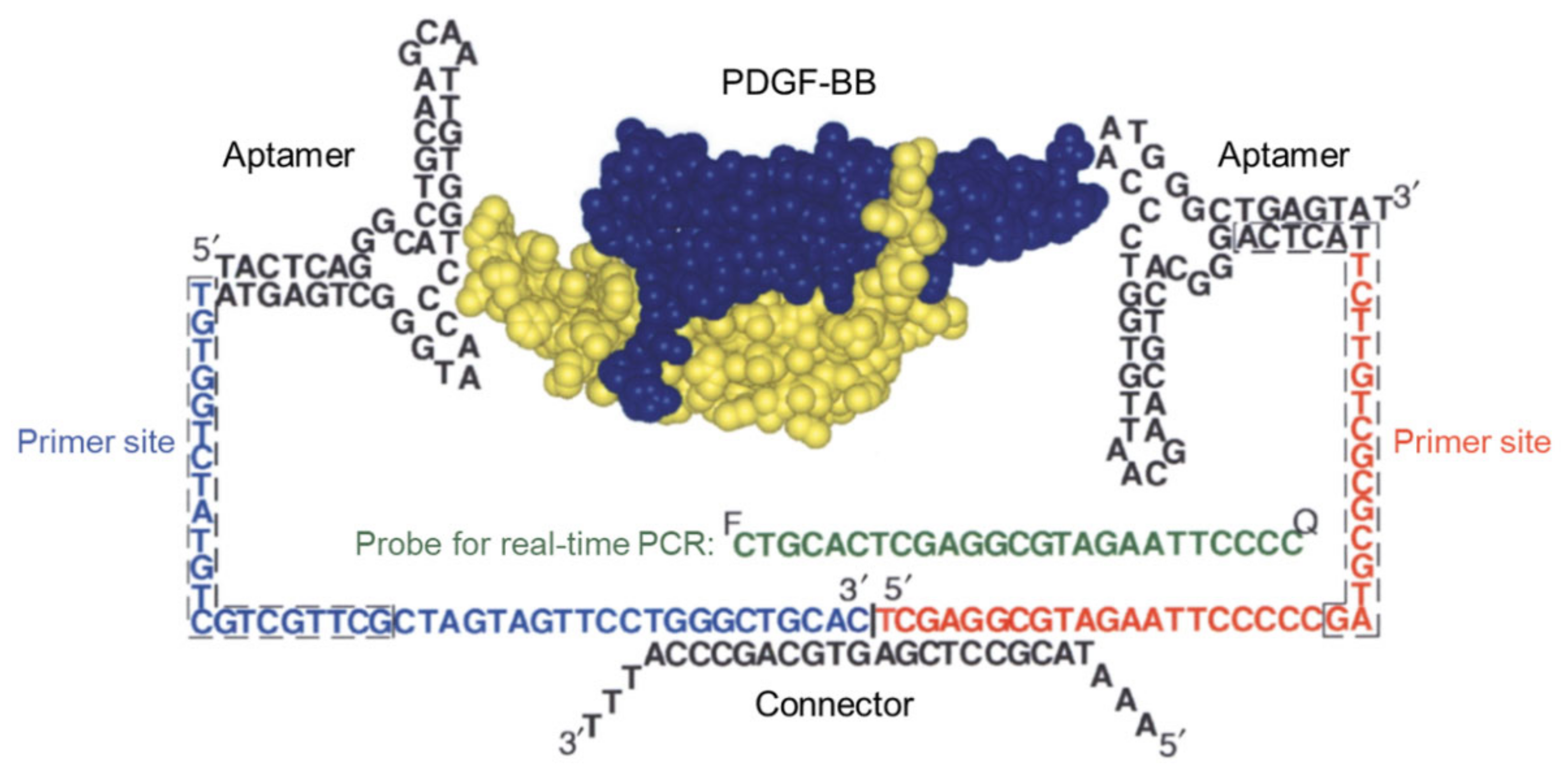 Applsci 12 01717 g002