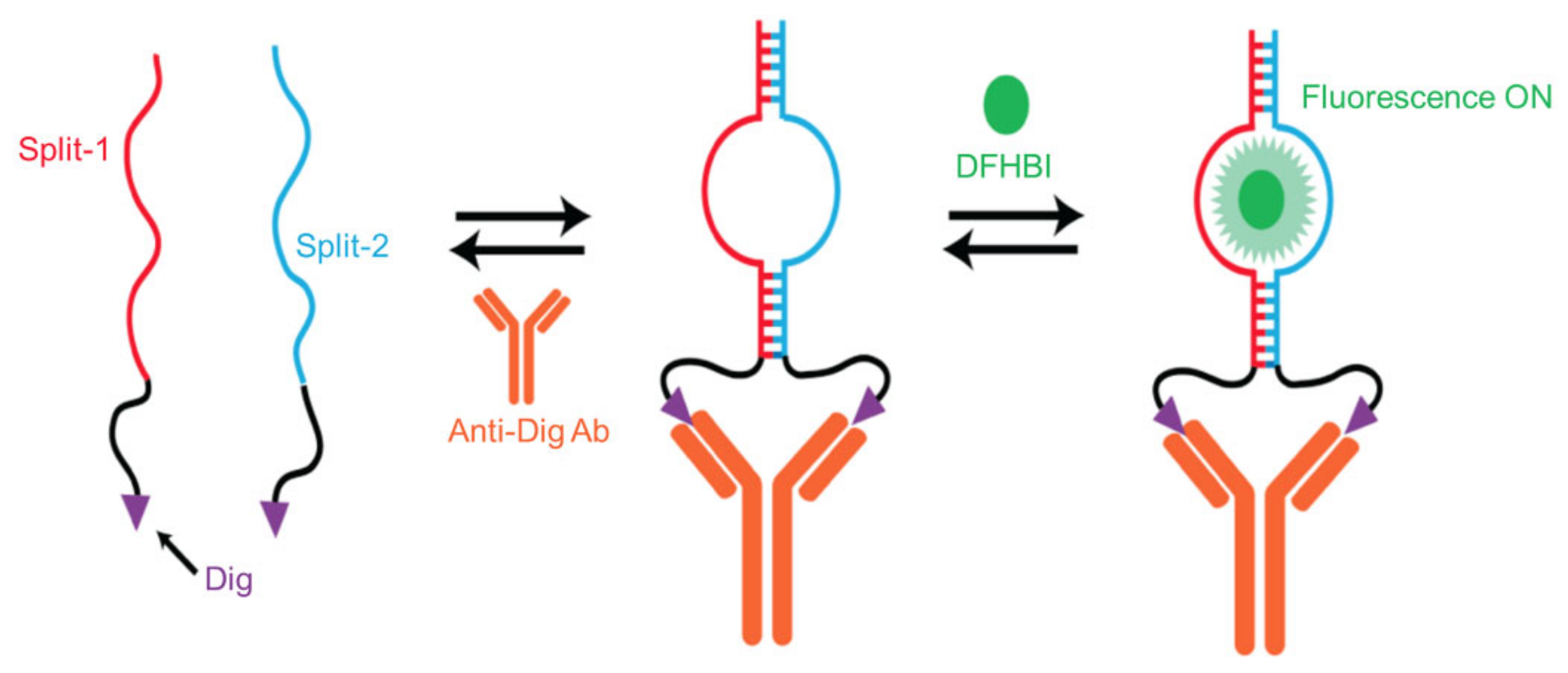 Applsci 12 01717 g006