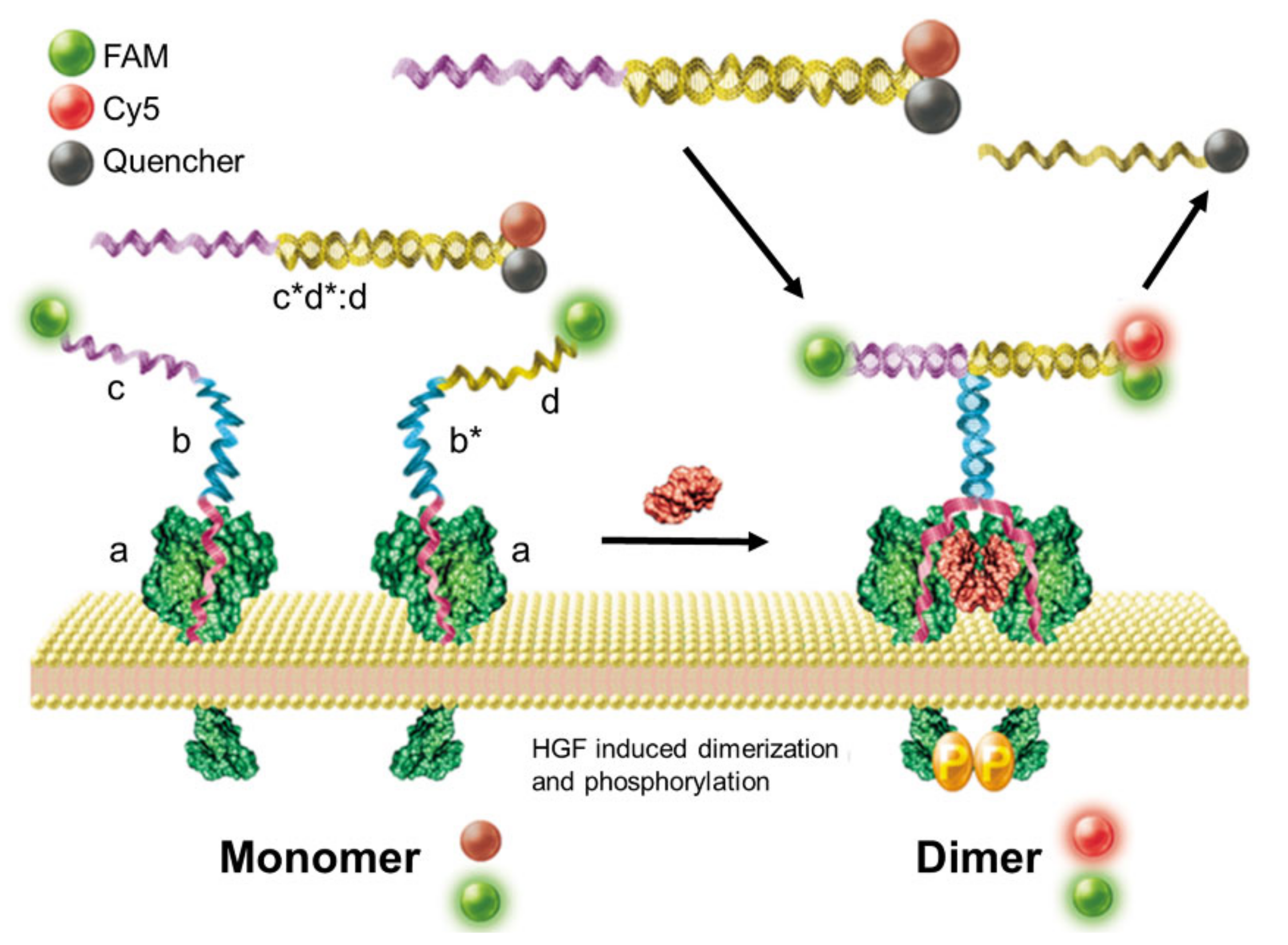 Applsci 12 01717 g008