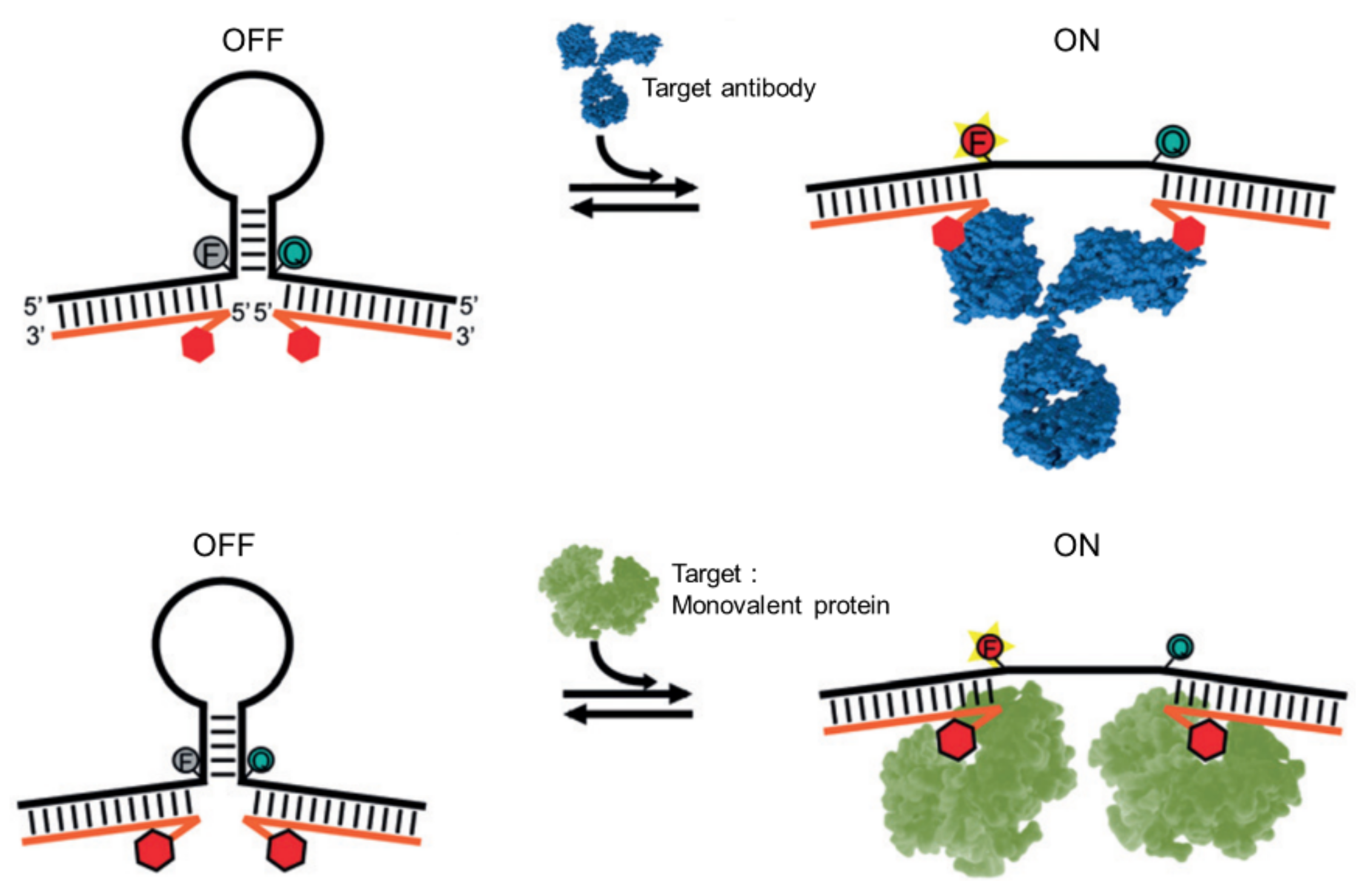 Applsci 12 01717 g011