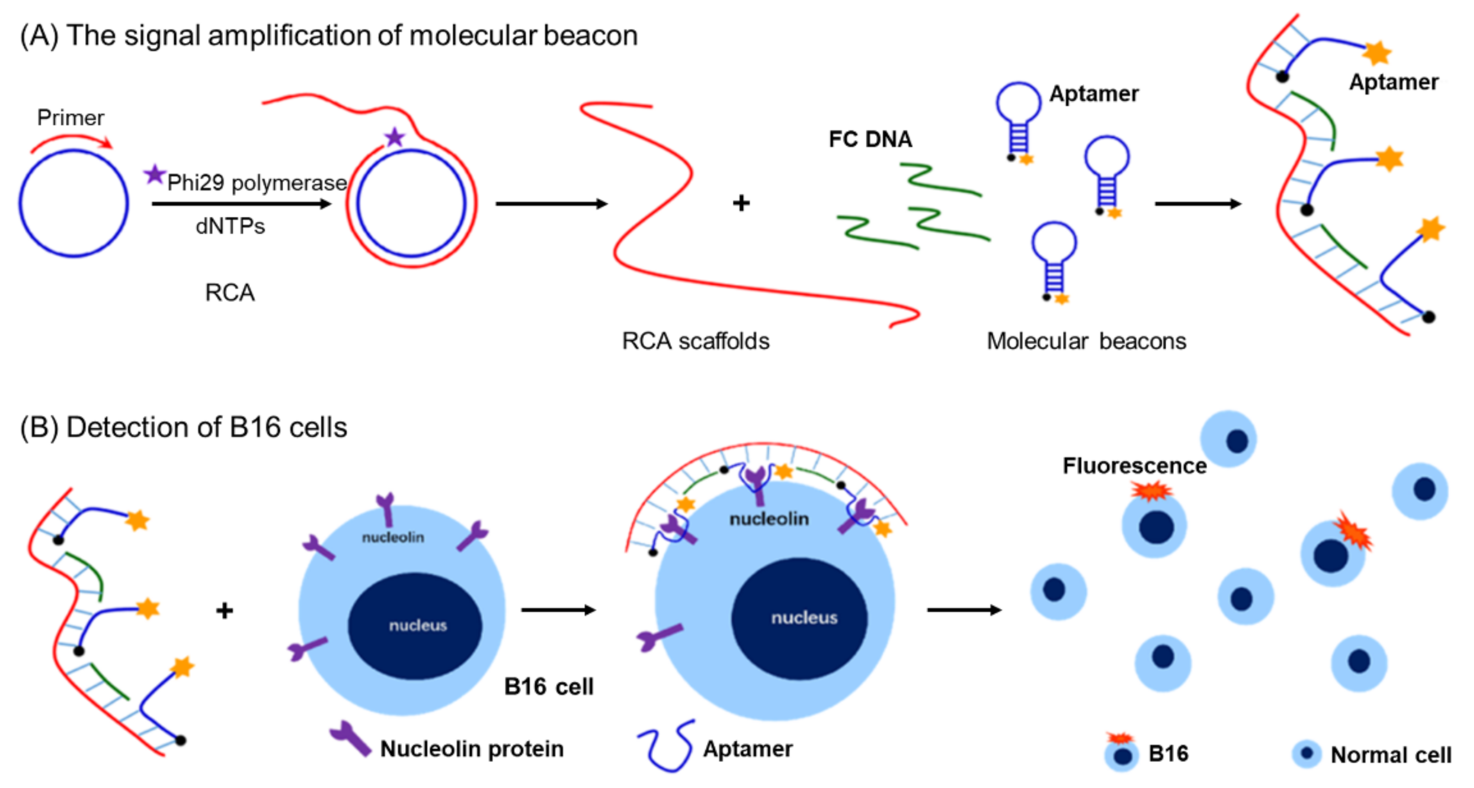 Applsci 12 01717 g014