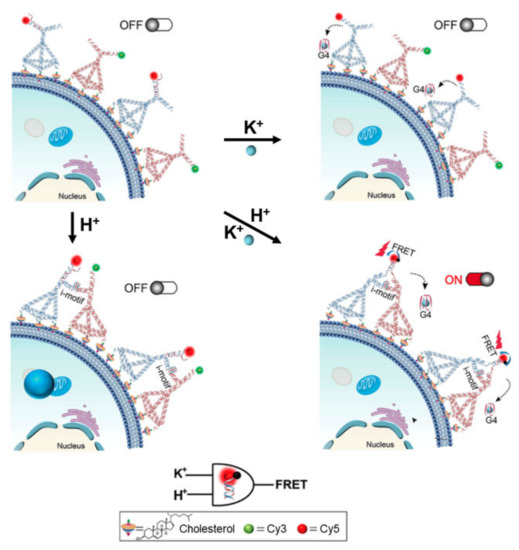 ｈ Manipulating electrolyte concentration for metal hydride