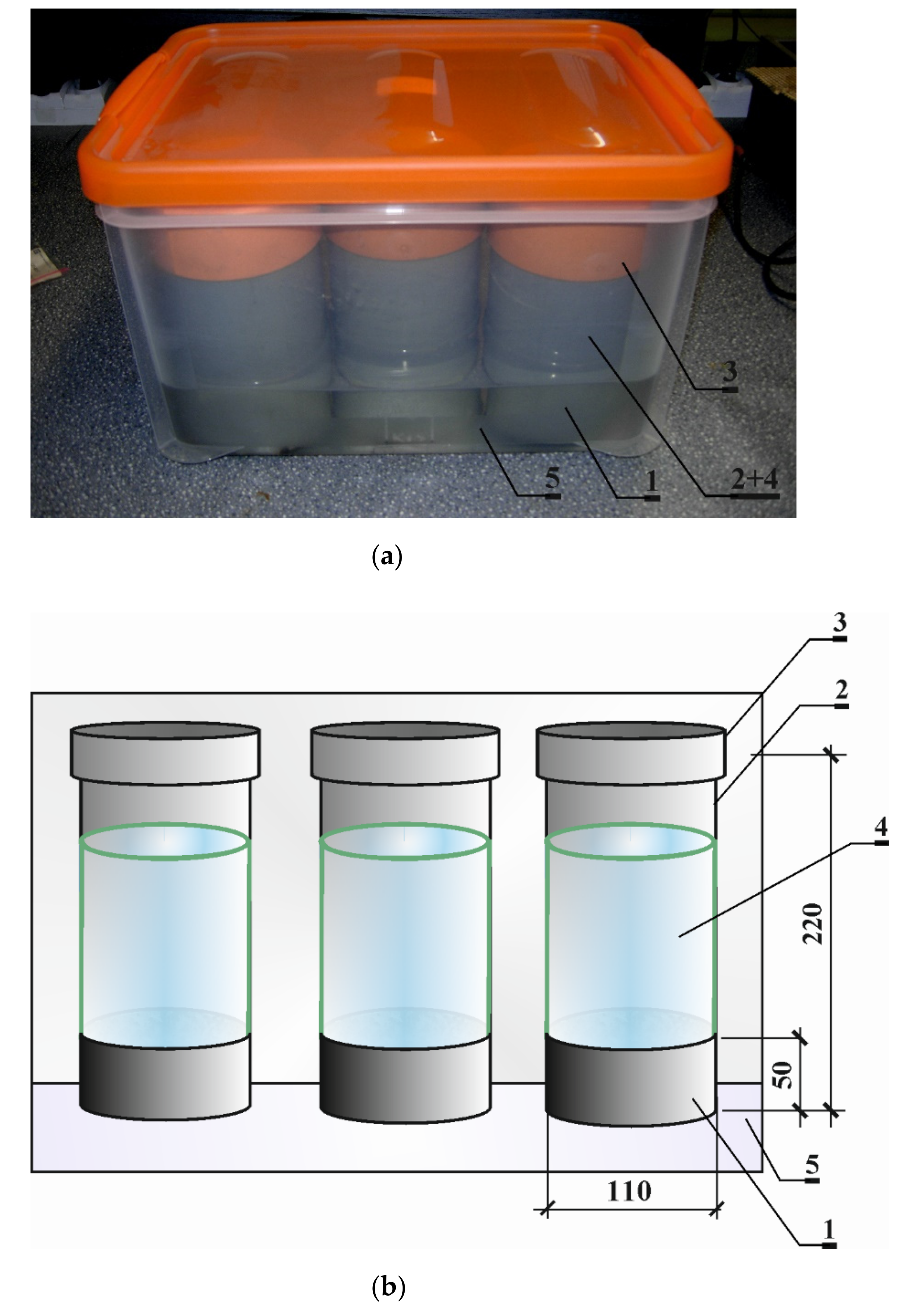 Applsci 12 01730 g001 550