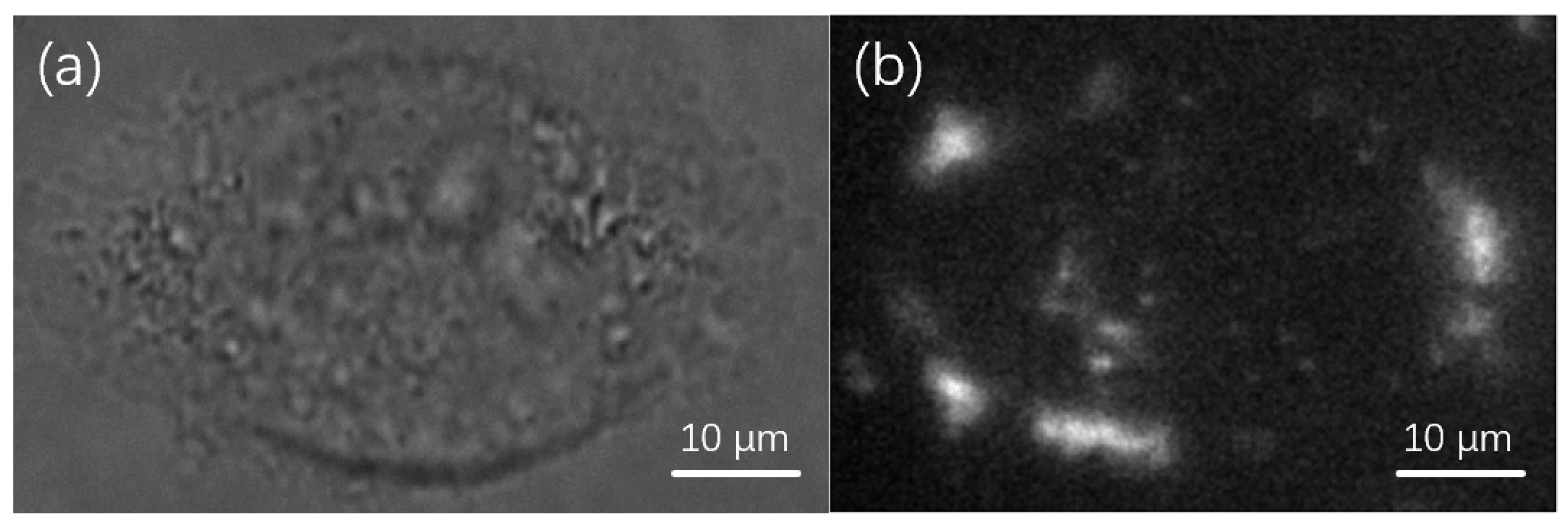 Applsci 12 01778 g008