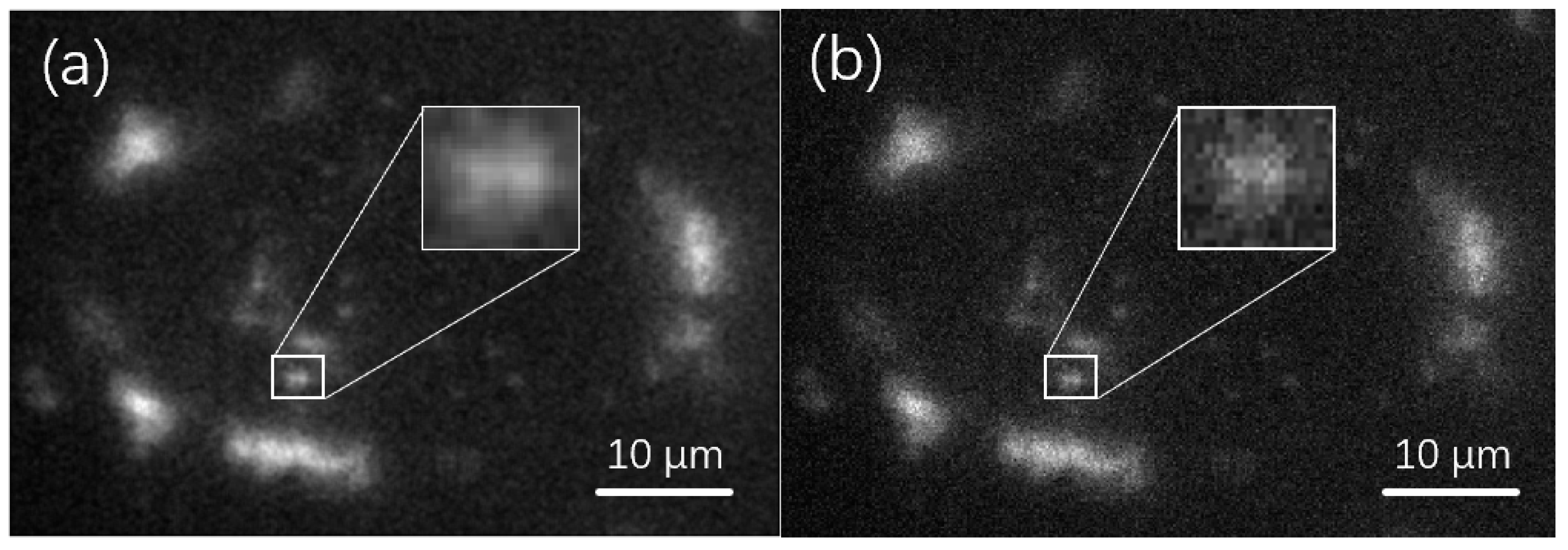 Applsci 12 01778 g009