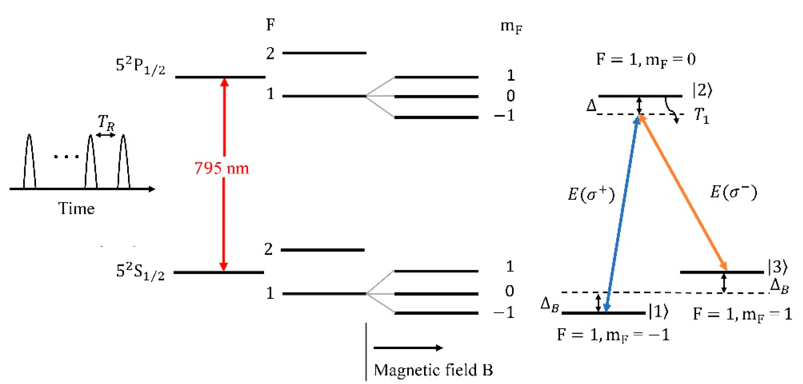 Applsci 12 01780 g001 Applsci 12 01780 g001