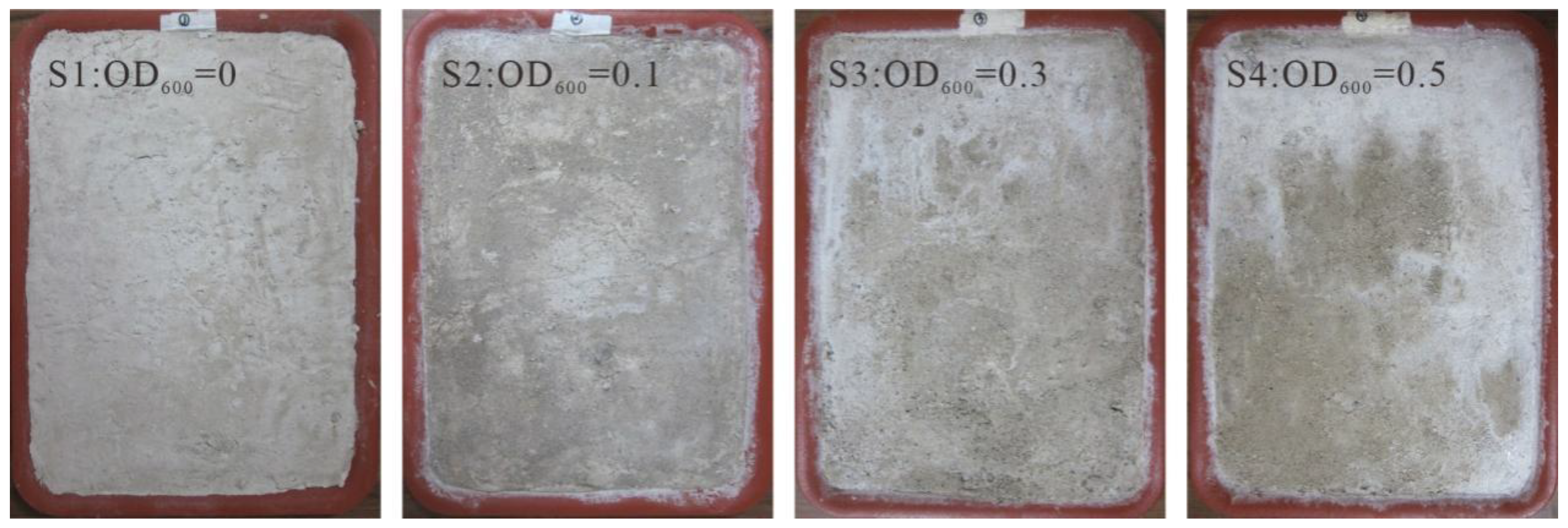 Applsci 12 01783 g005