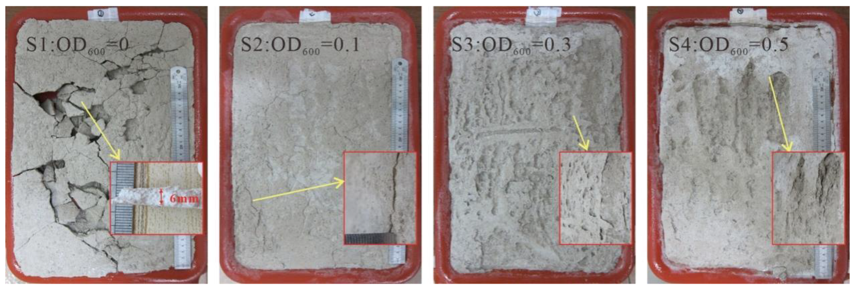 Applsci 12 01783 g006