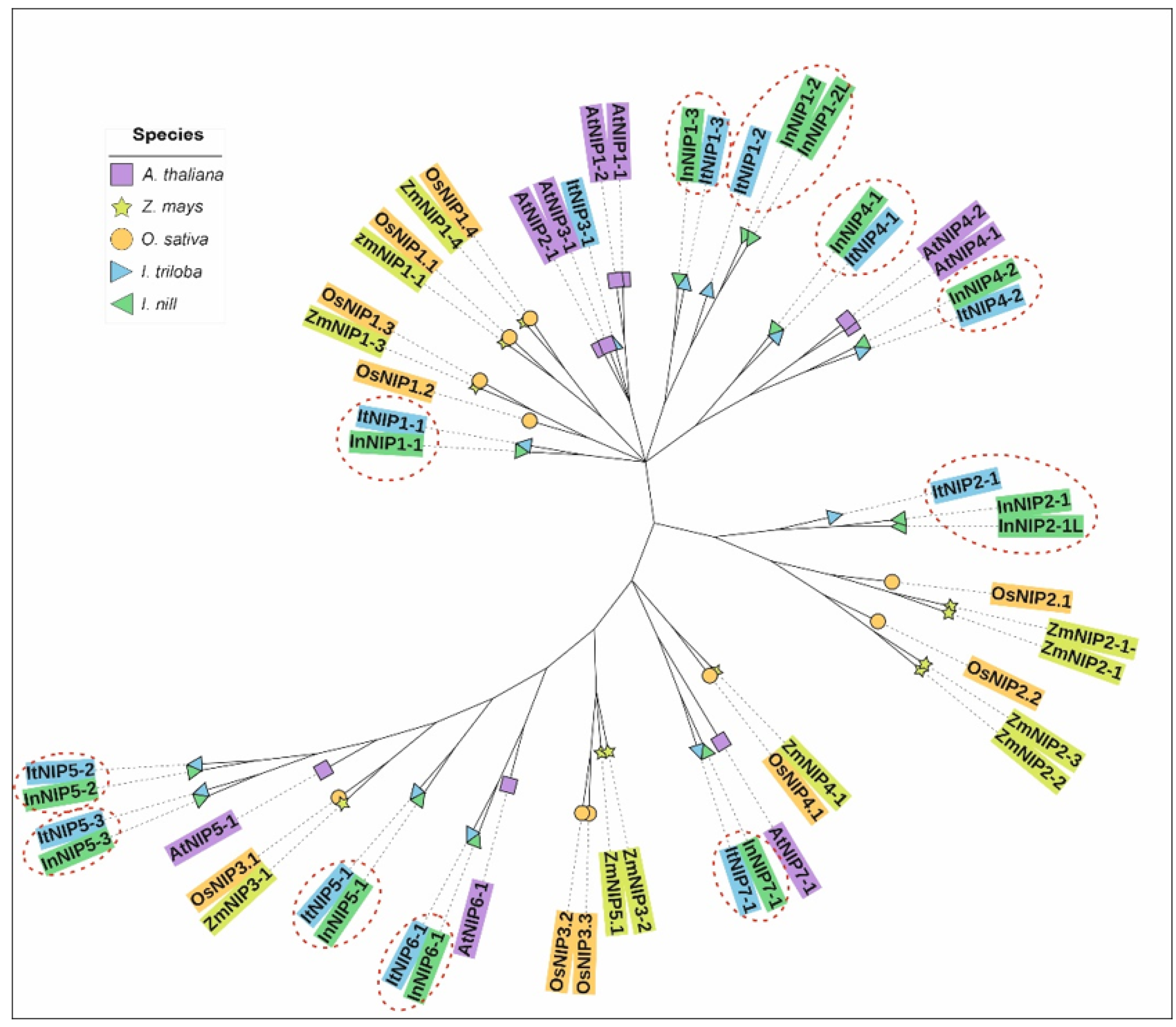 Applsci 12 01788 g003