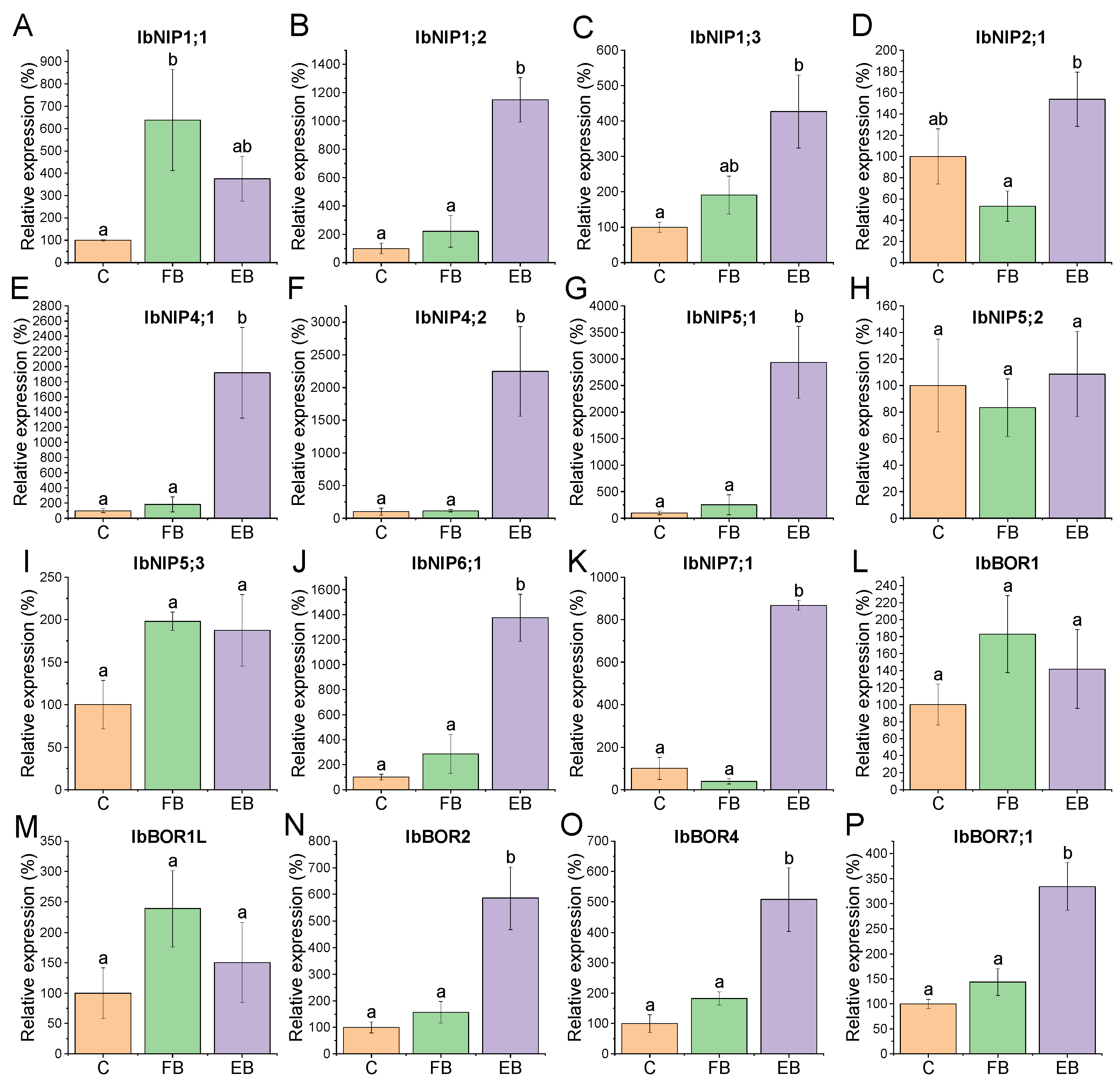 Applsci 12 01788 g004