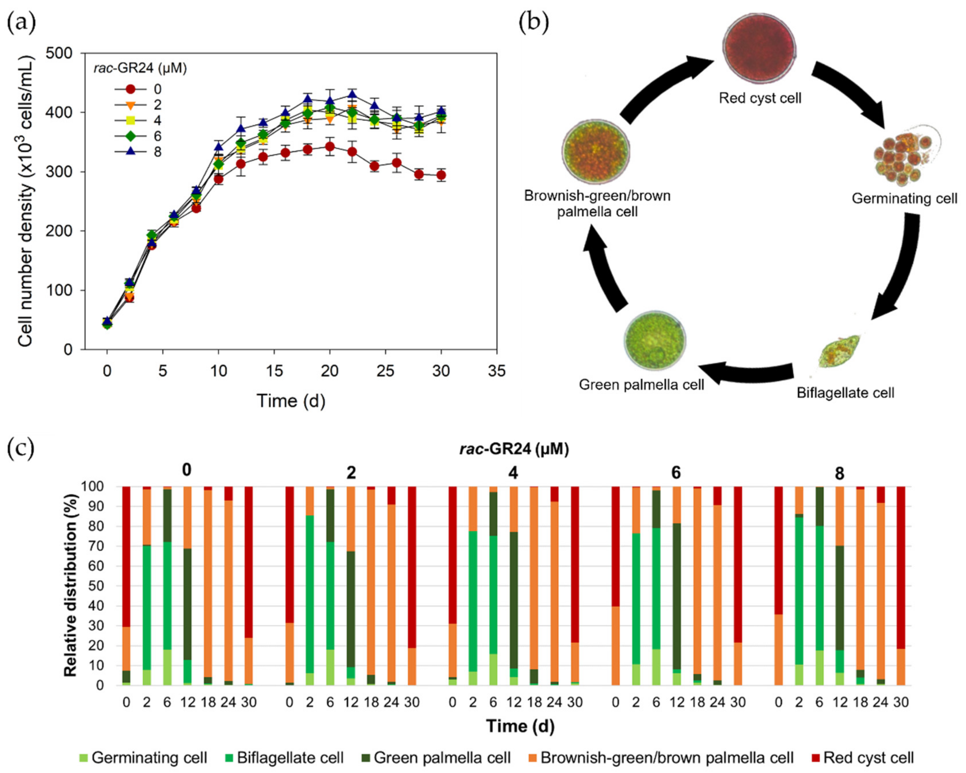 Applsci 12 01791 g002