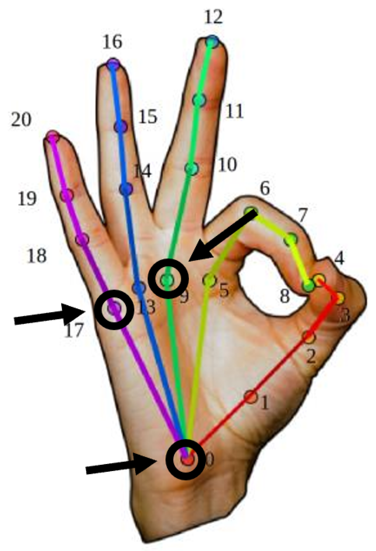 Applsci 12 01796 g005 550