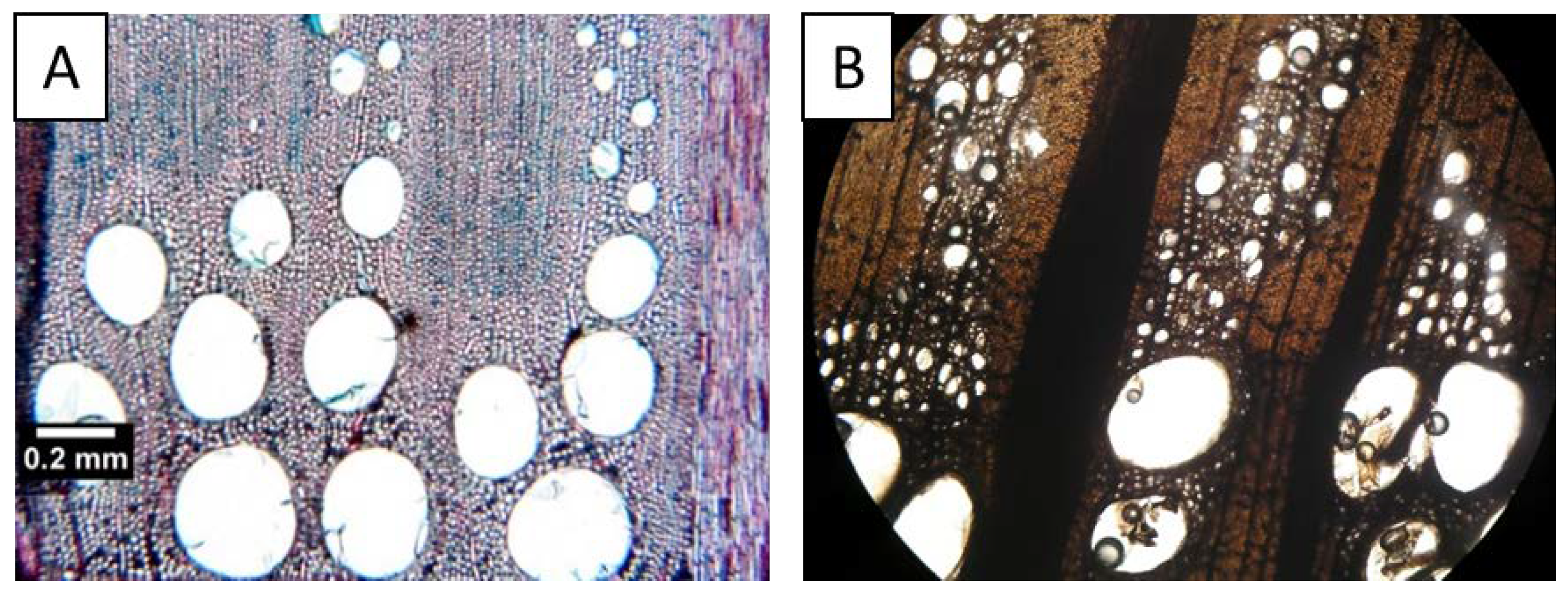 Applsci 12 01814 g004 Applsci 12 01814 g004