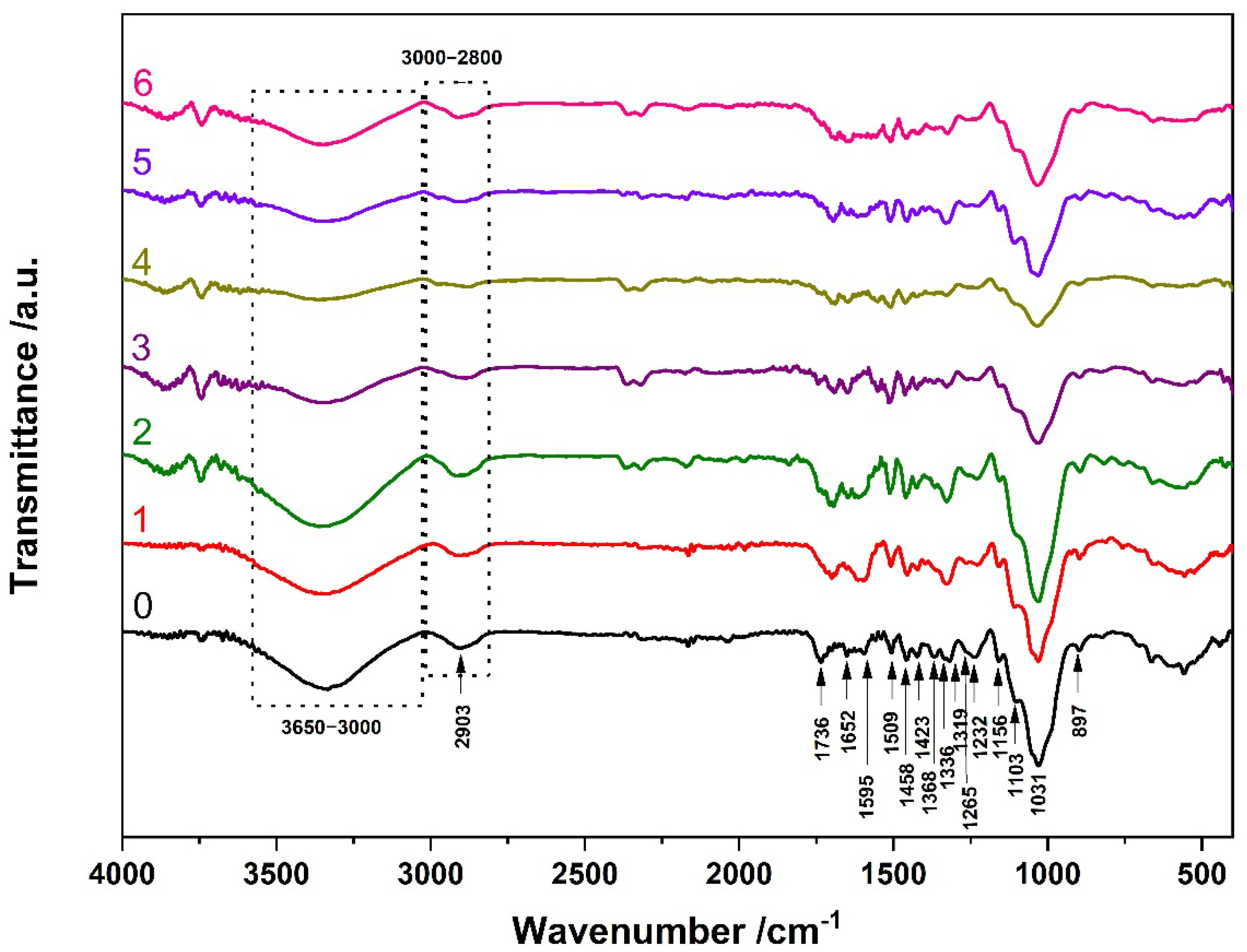 Applsci 12 01814 g009 Applsci 12 01814 g009