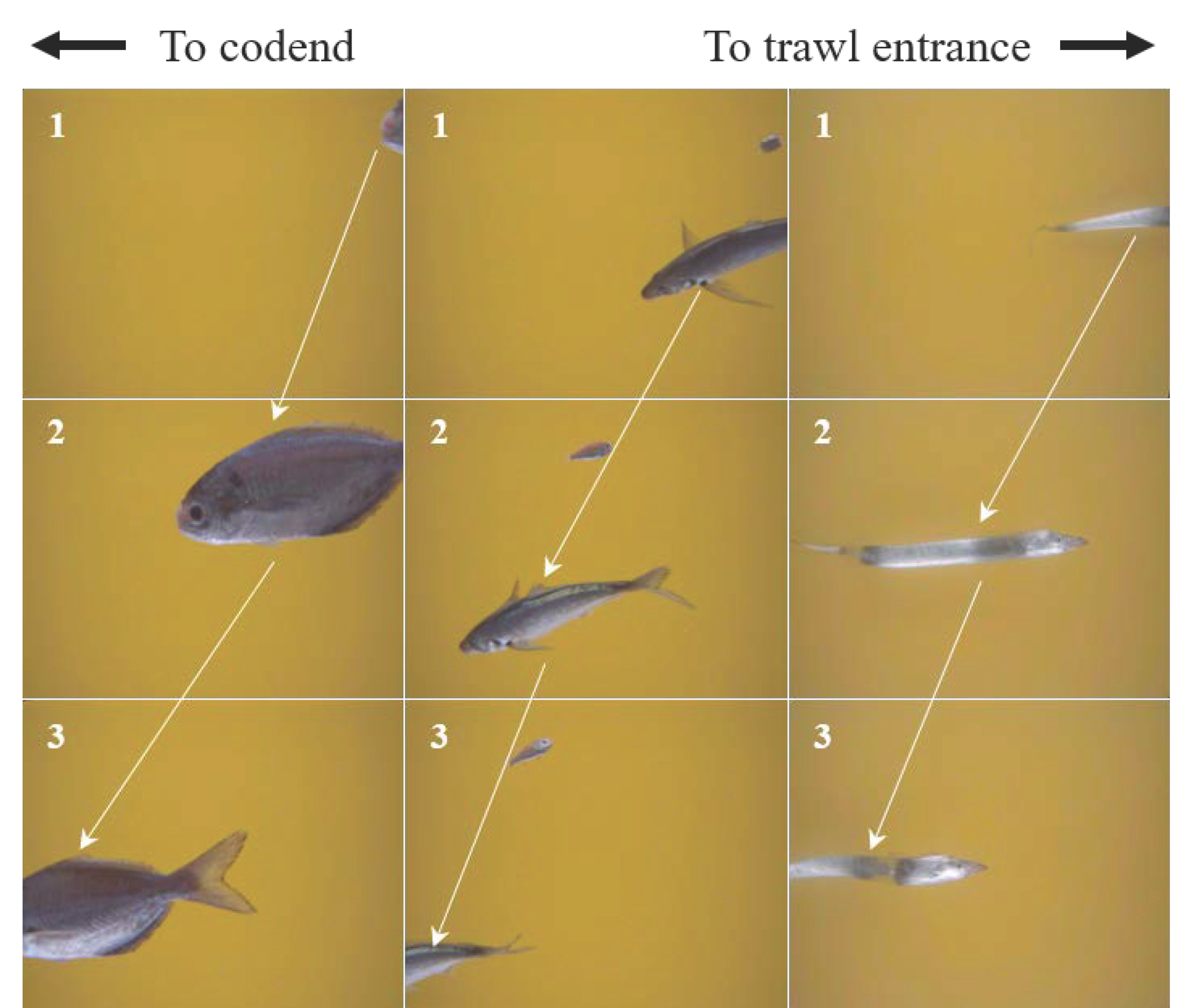 Applsci 12 01835 g004 Applsci 12 01835 g004