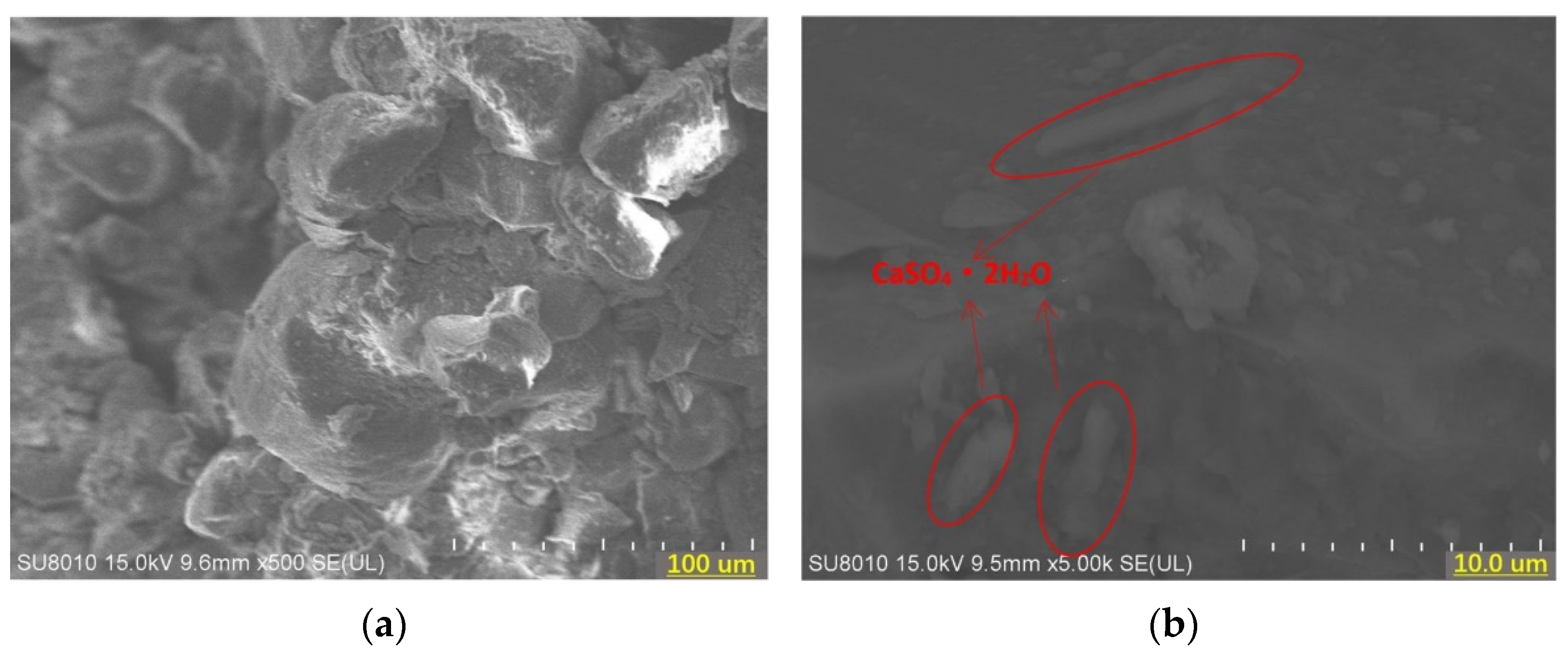 Applsci 12 01849 g005 550