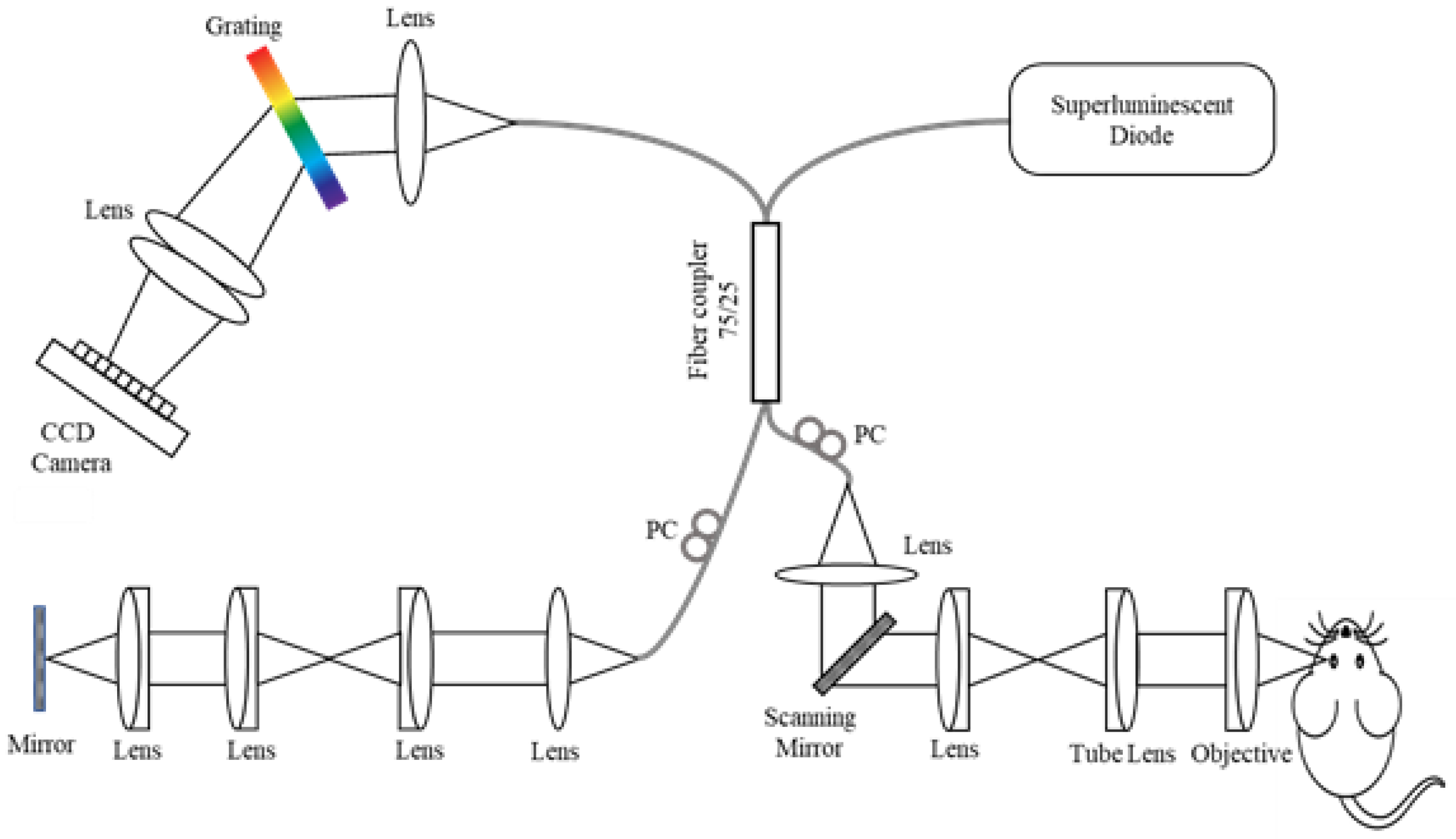 Applsci 12 01860 g001 Applsci 12 01860 g001