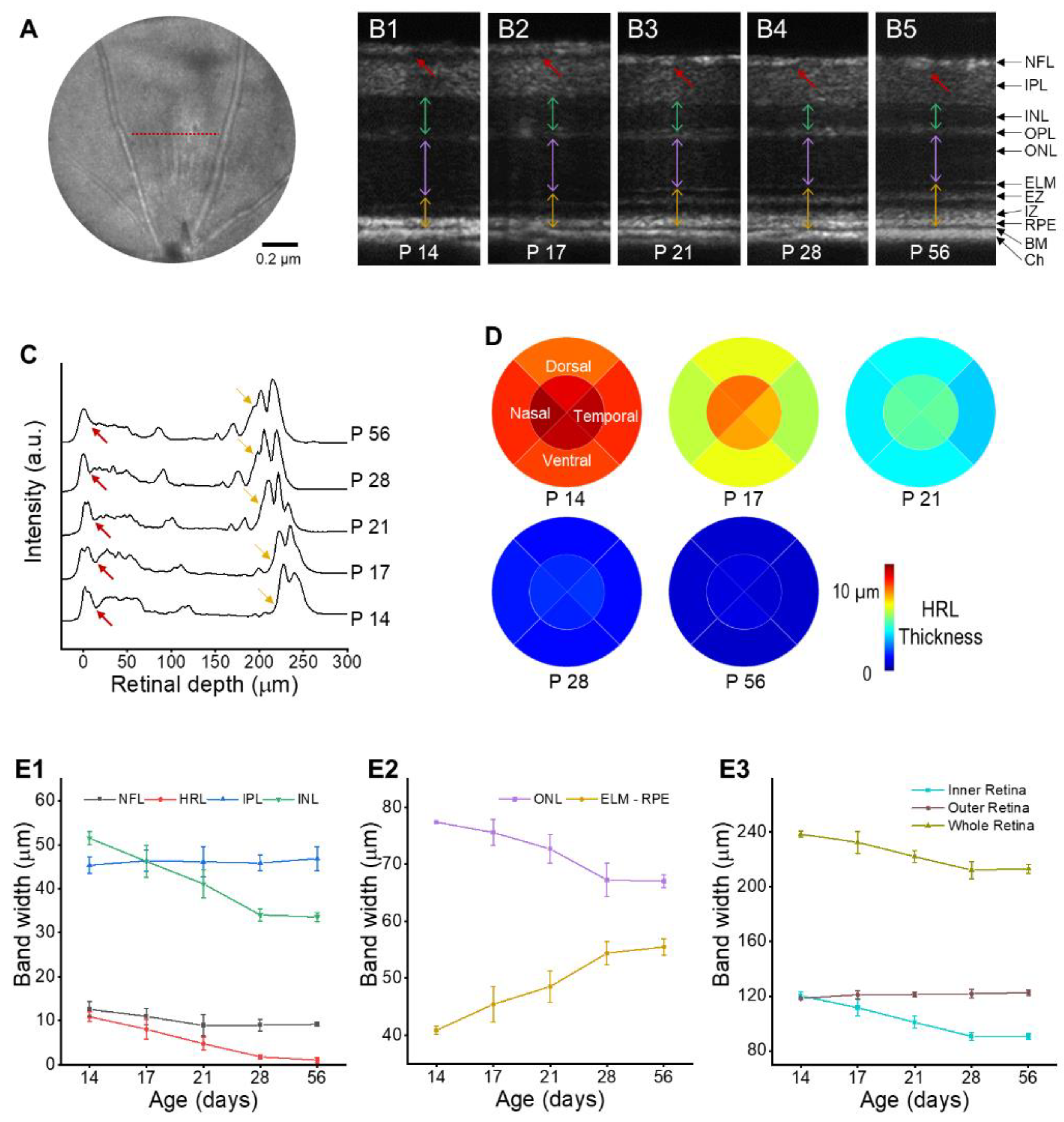 Applsci 12 01860 g002 Applsci 12 01860 g002