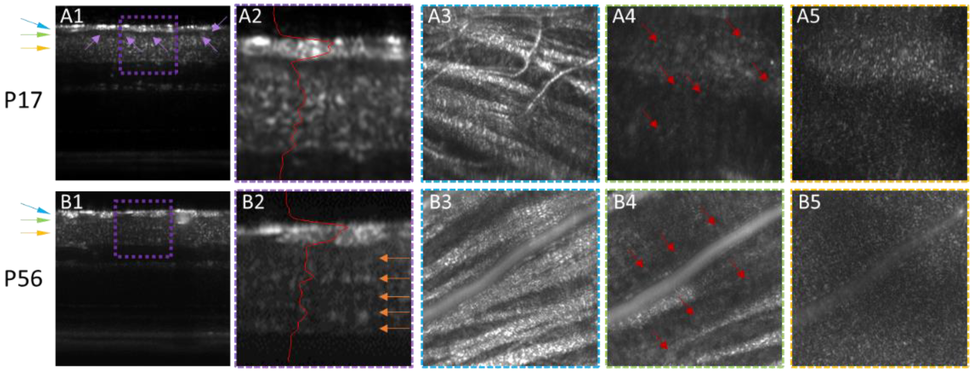 Applsci 12 01860 g003 Applsci 12 01860 g003