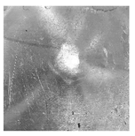 Applsci 12 01869 i002