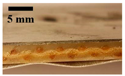 Applsci 12 01869 i003