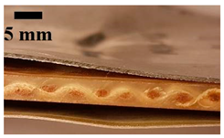 Applsci 12 01869 i007