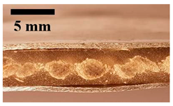 Applsci 12 01869 i011