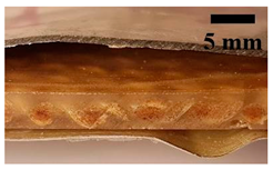 Applsci 12 01869 i015