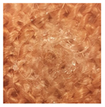 Applsci 12 01869 i016