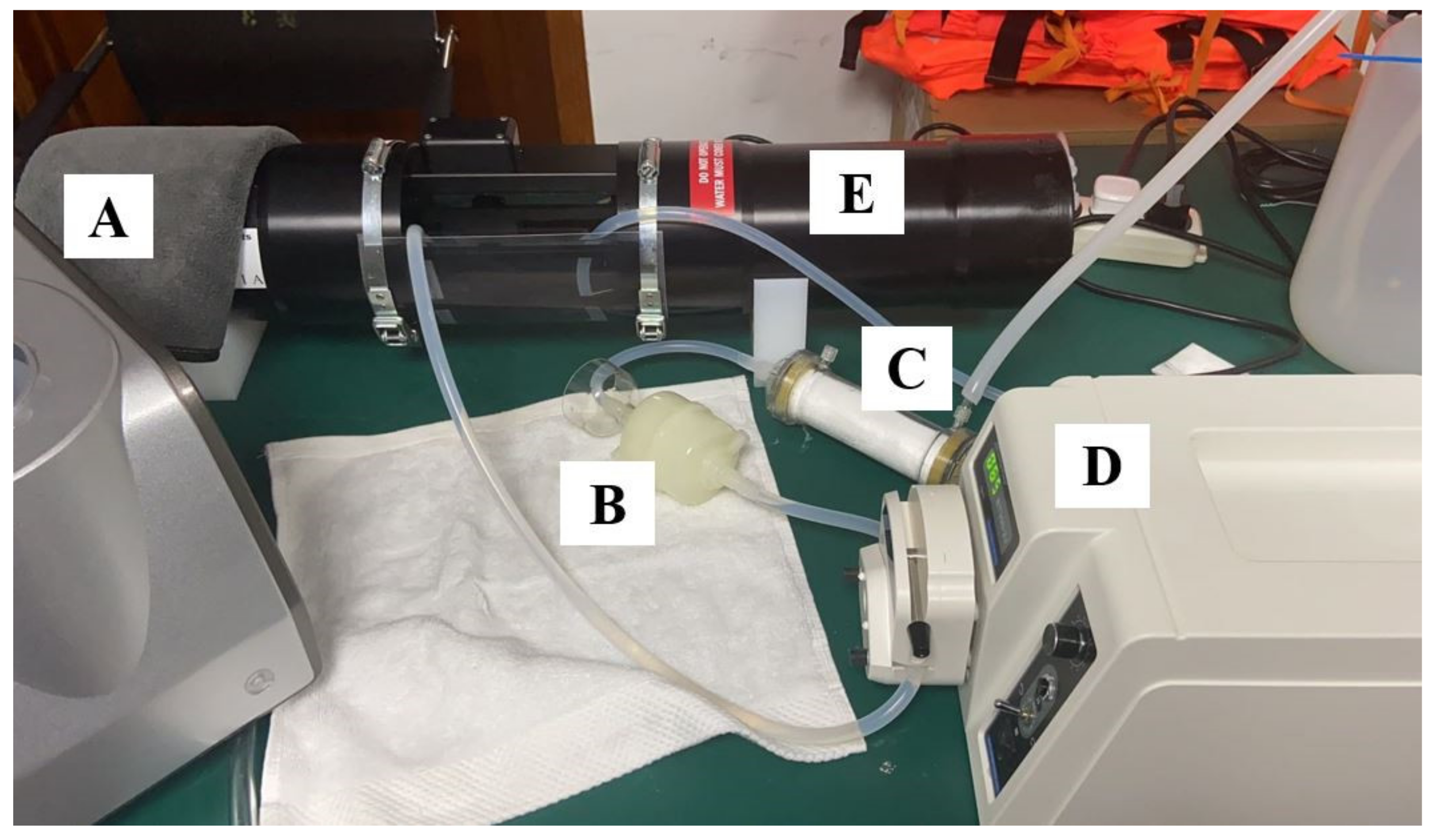 Applsci 12 01894 g003