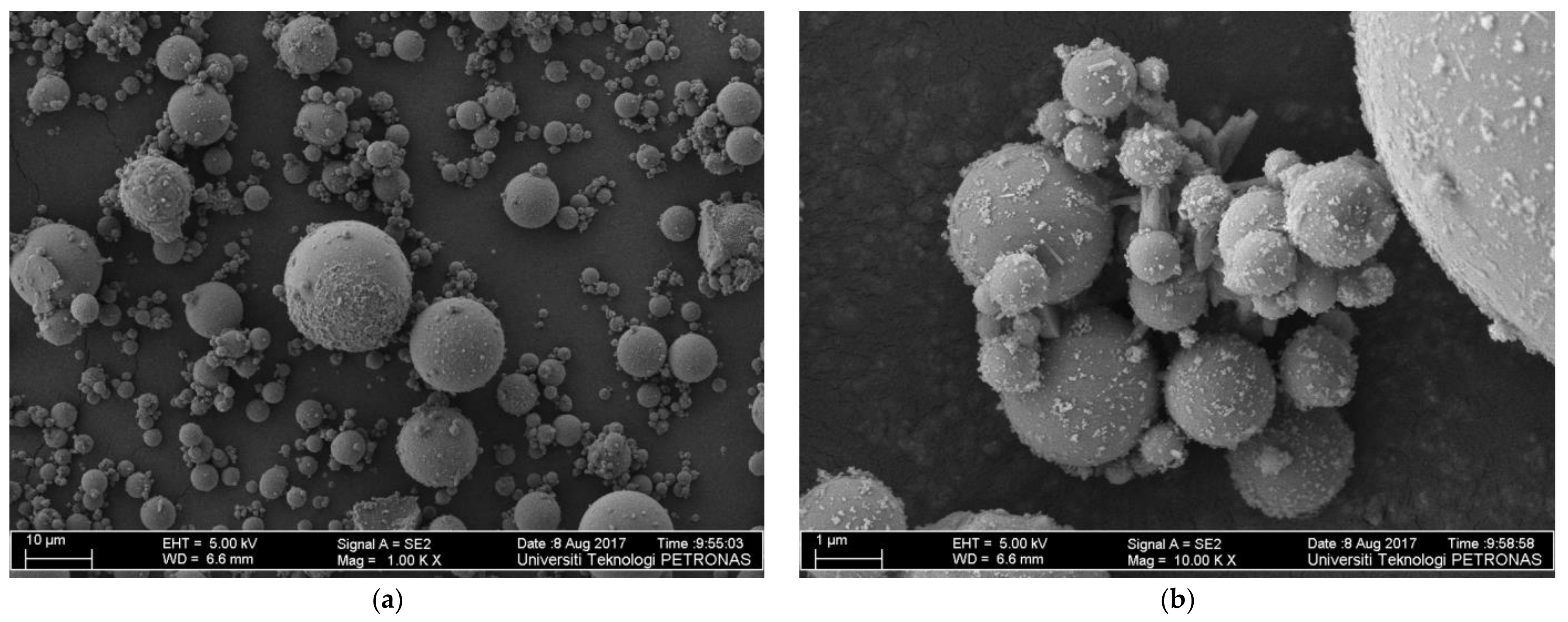 Applsci 12 01897 g002 550