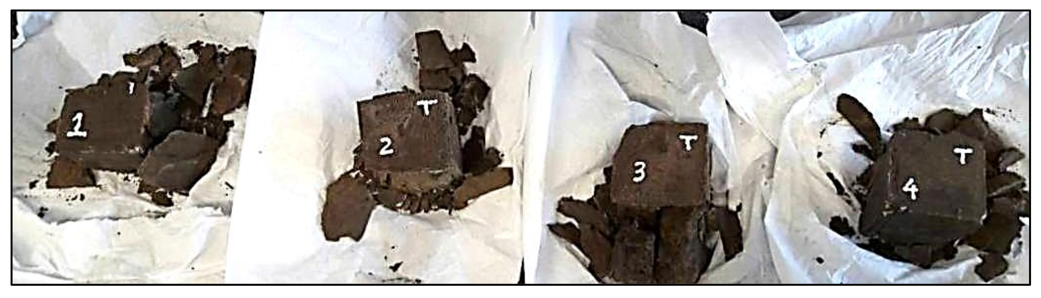 Applsci 12 01897 g019 550