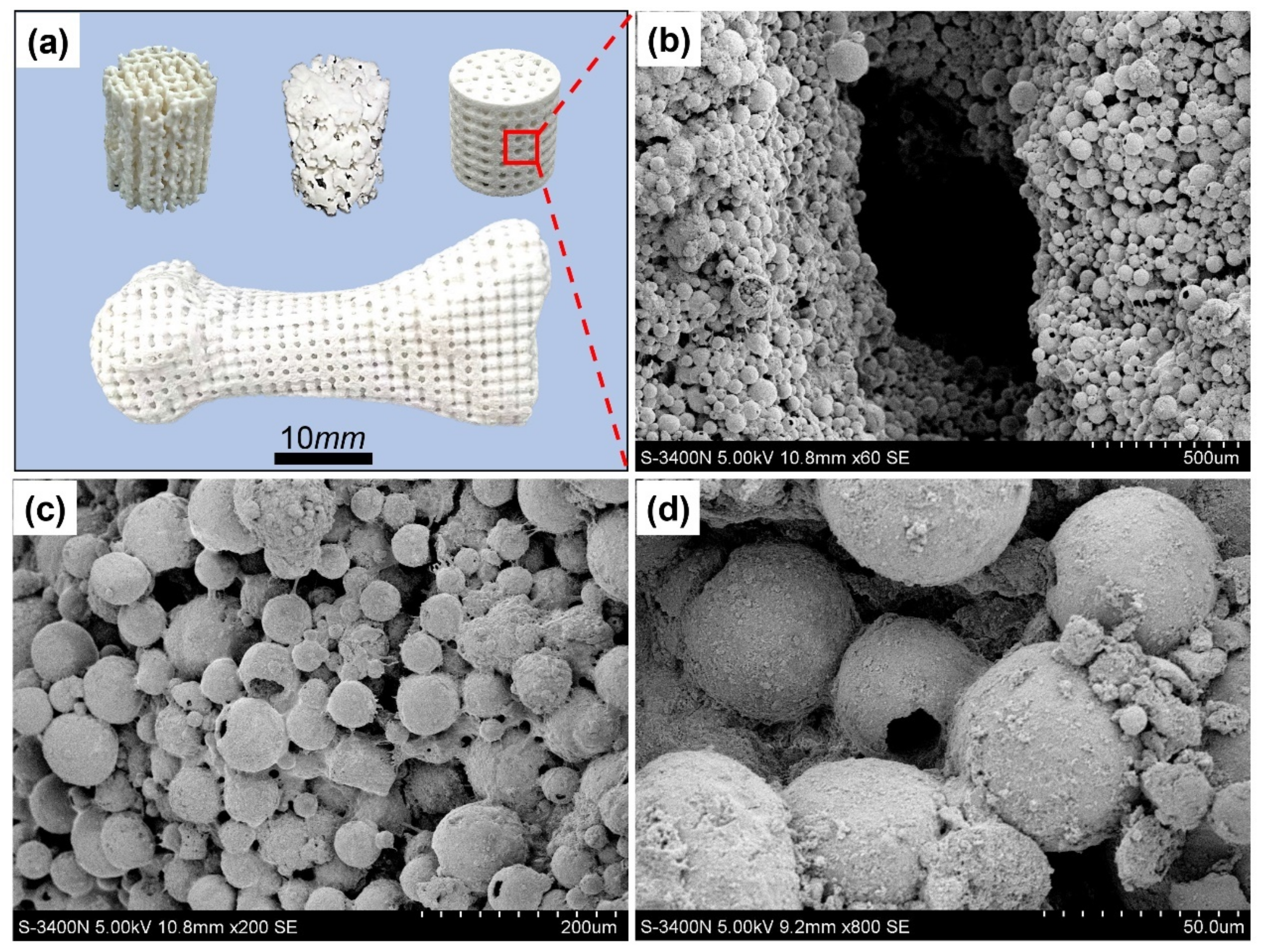 Applsci 12 01898 g001 550