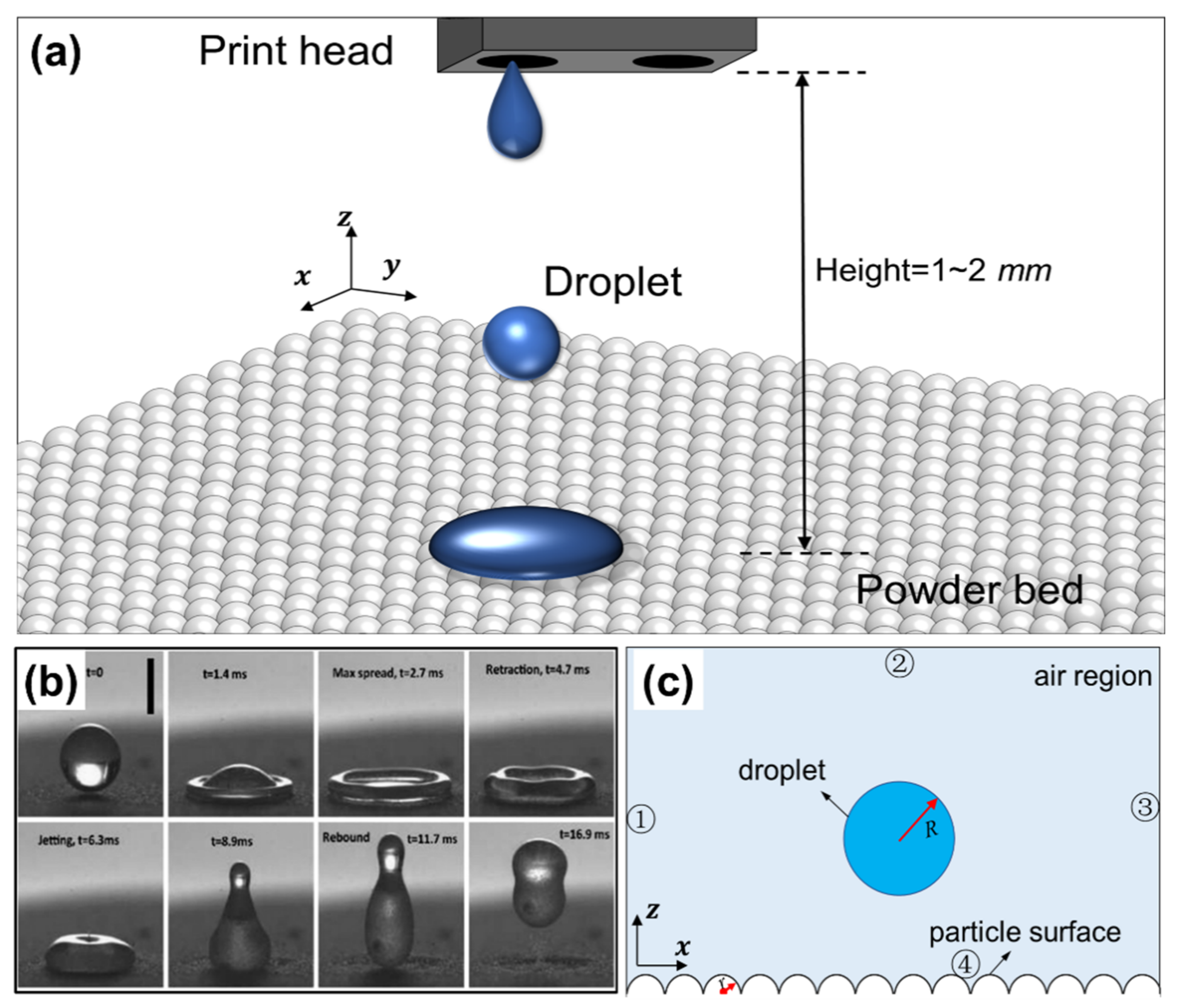 Applsci 12 01898 g002 550