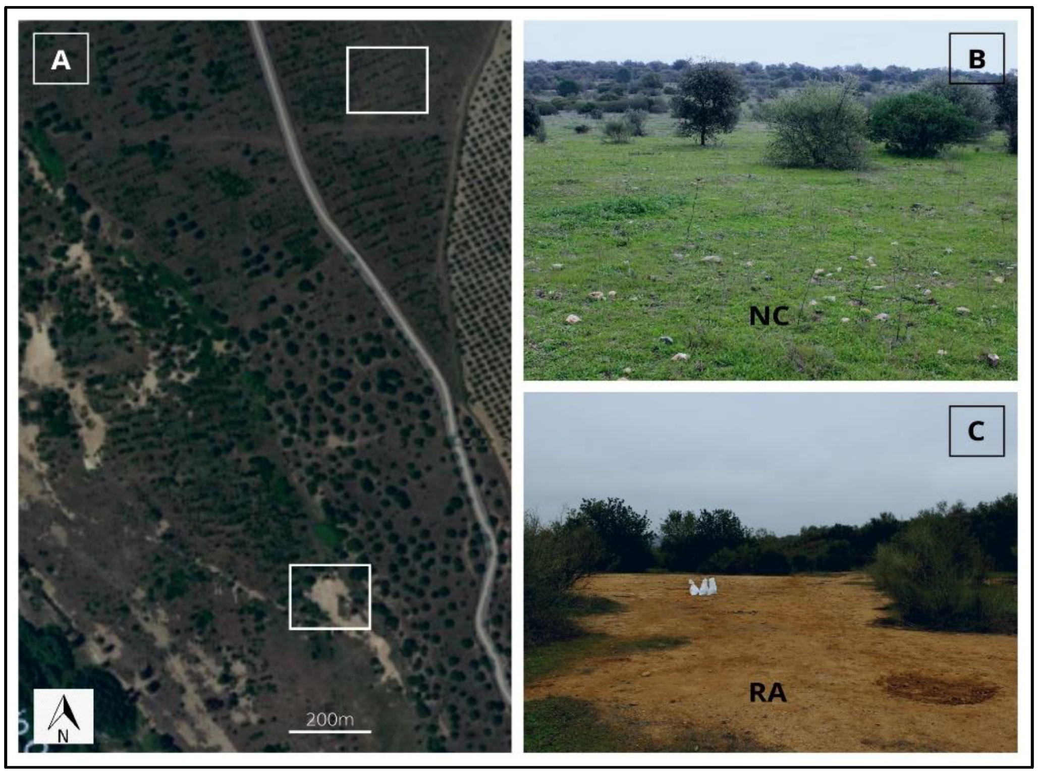 Applsci 12 01918 g001 550