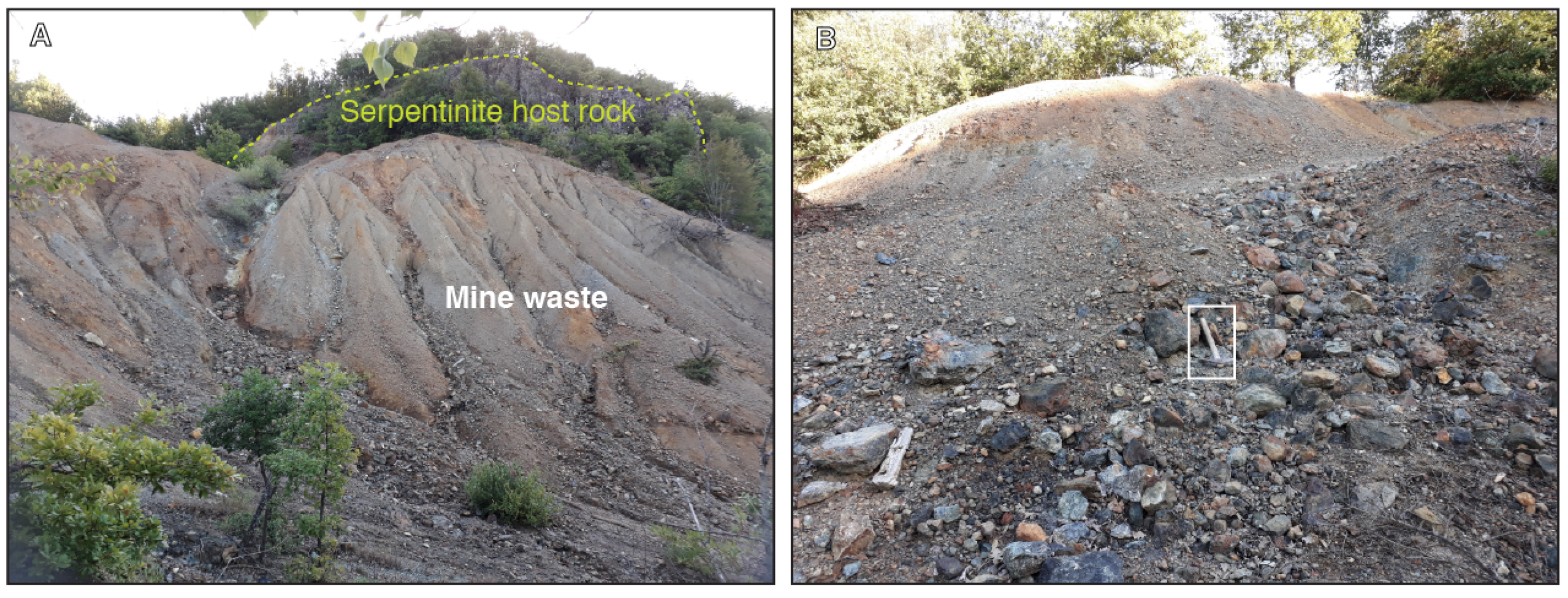 Applsci 12 01928 g002 550