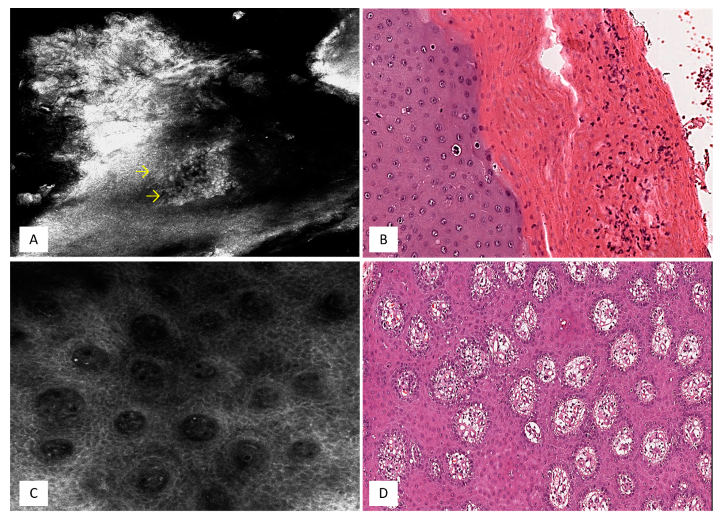 Applsci 12 01930 g001