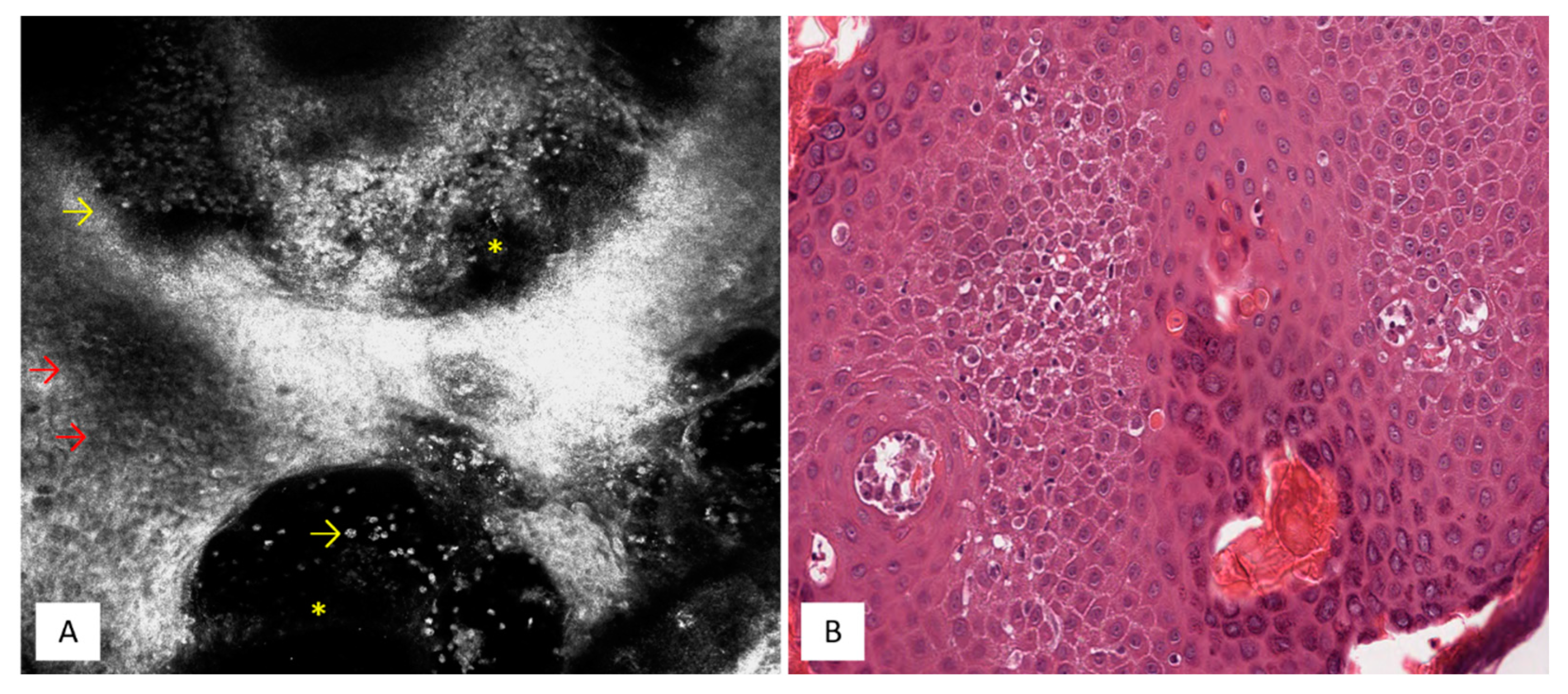 Applsci 12 01930 g003