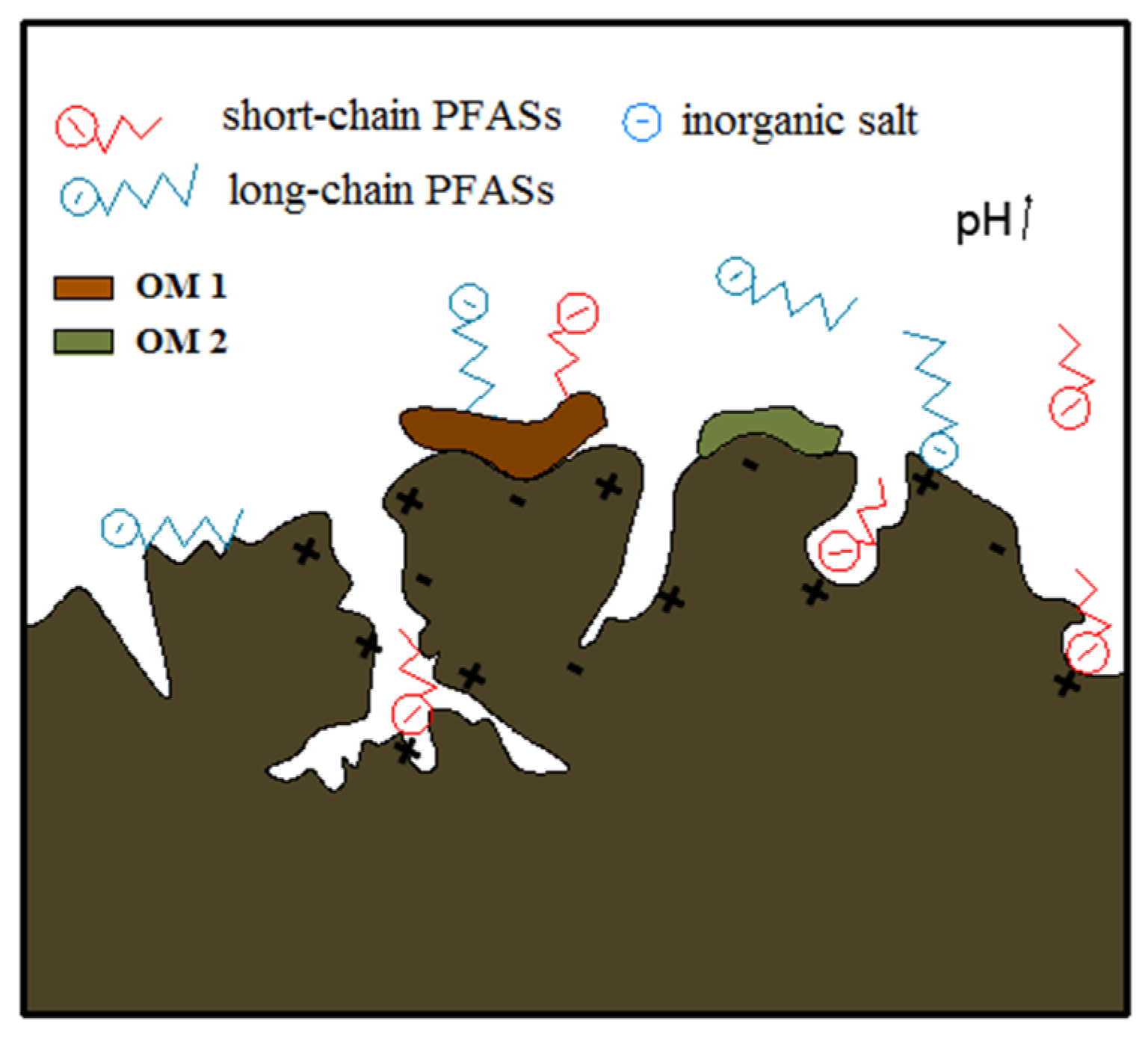 Applsci 12 01941 g001