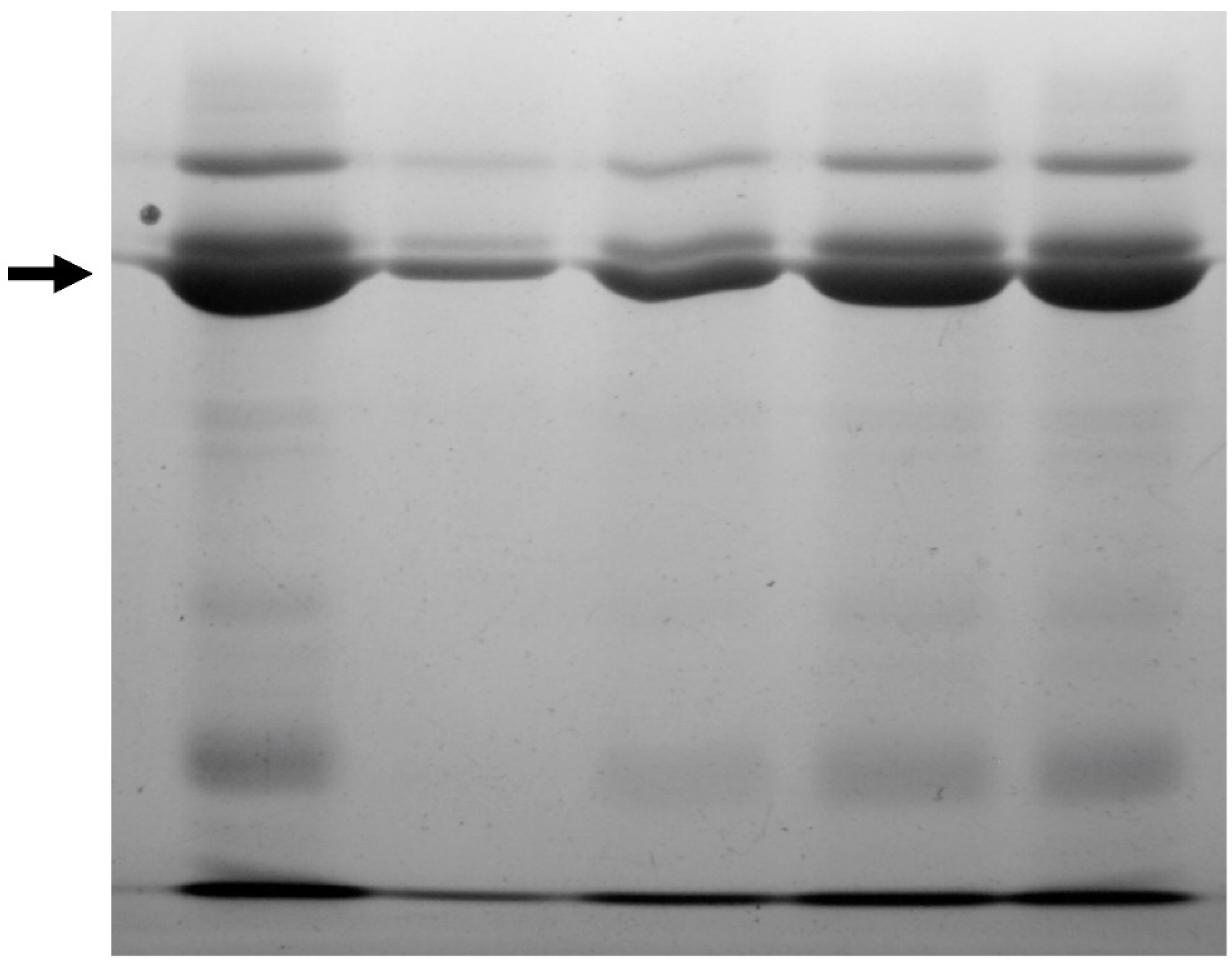 Applsci 12 01947 g003