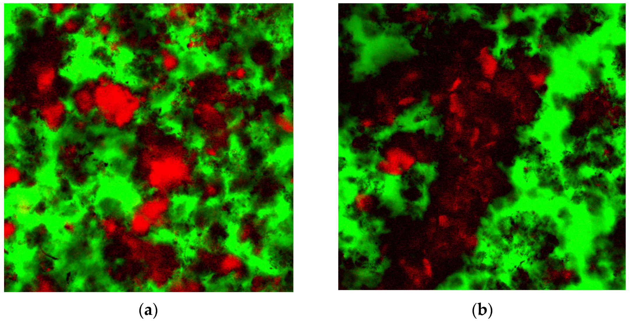 Applsci 12 01947 g005a