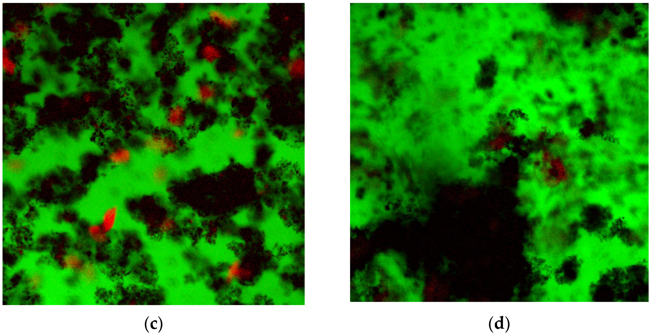 Applsci 12 01947 g005b